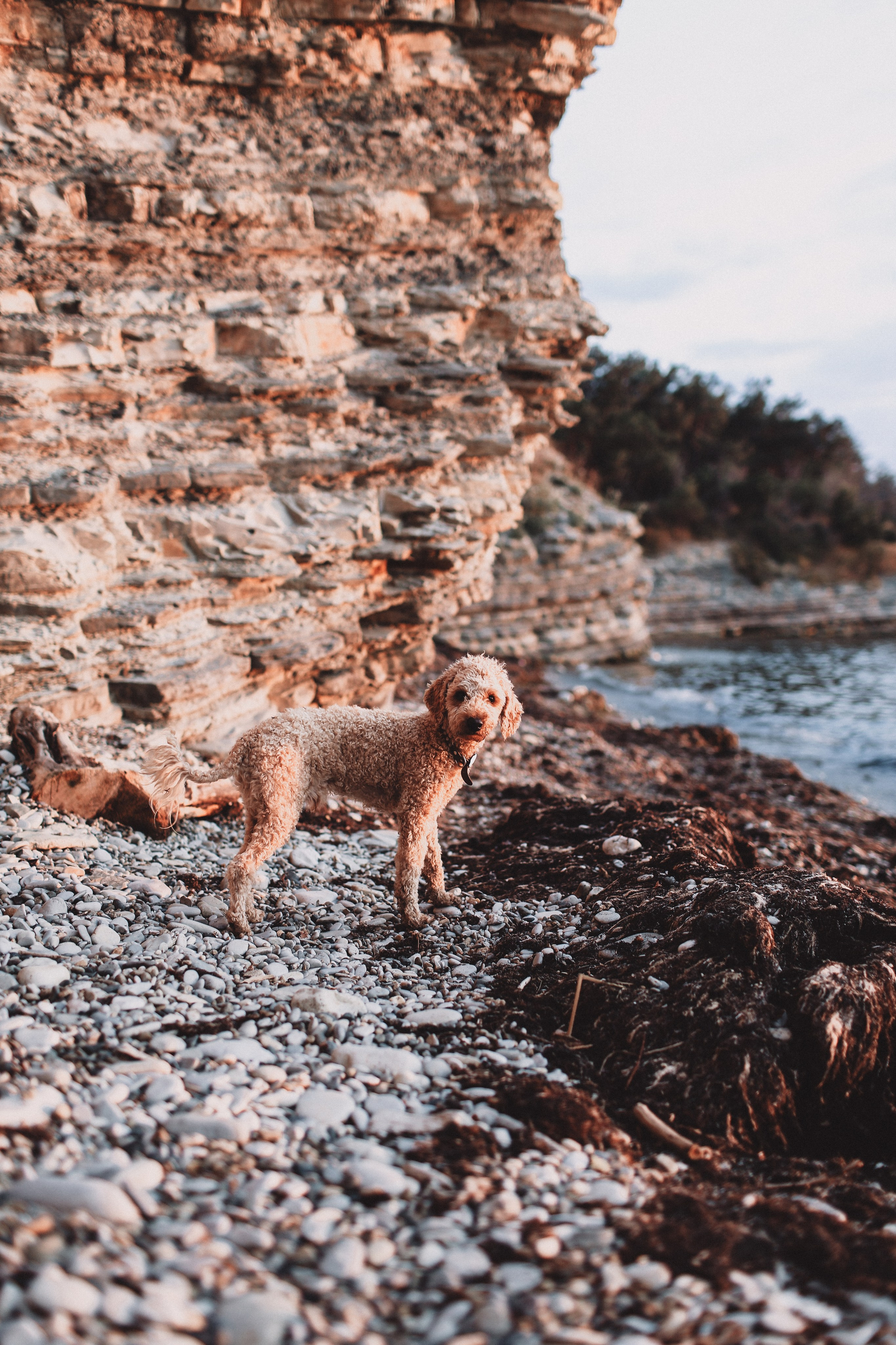 Индивидуальная фотосессия. Свадебный фотограф Мария Железняк в Москве