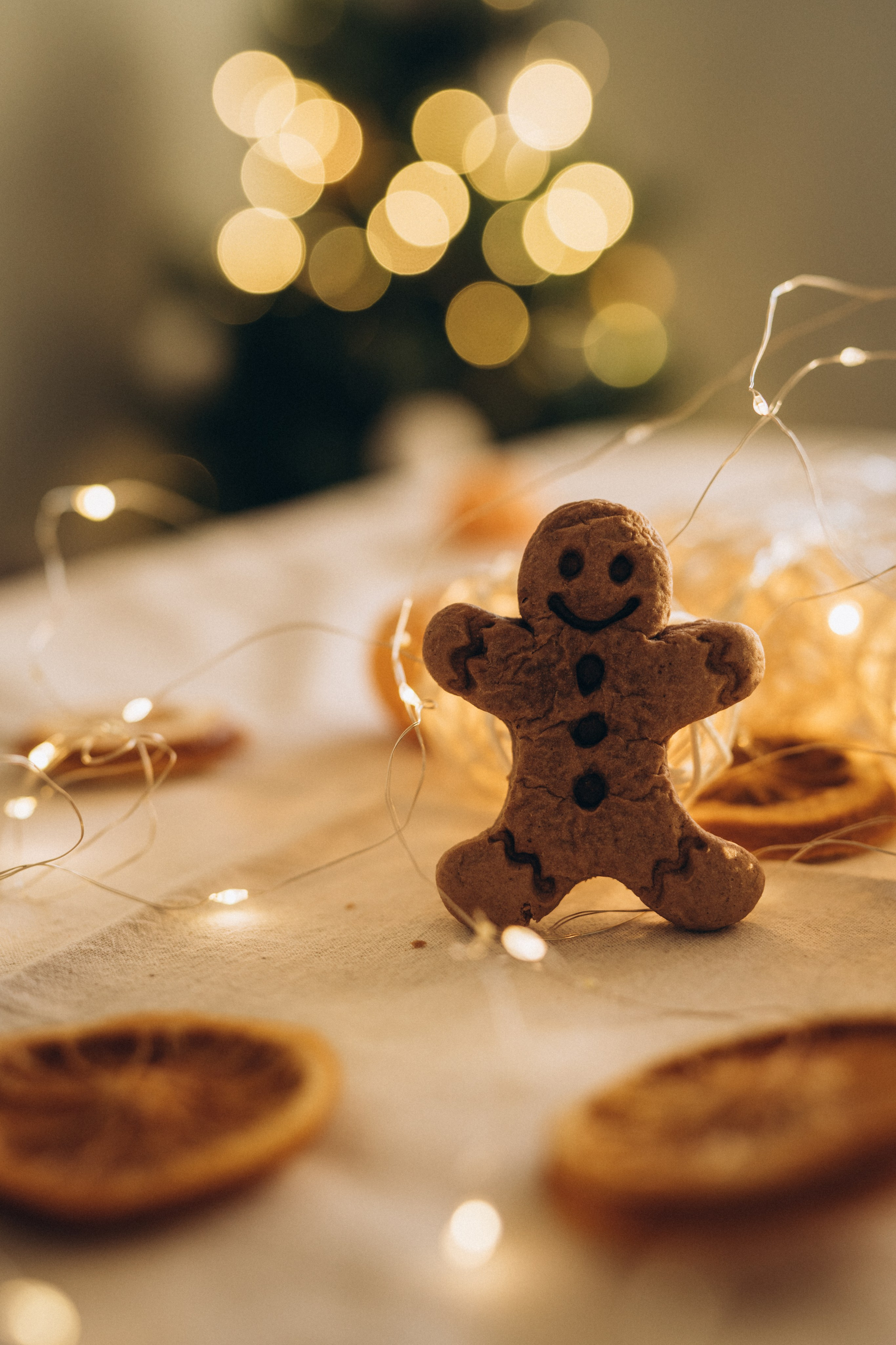 Новый год дома. Семейный и женский фотограф в Санкт-Петербурге Татьяна Стружкина
