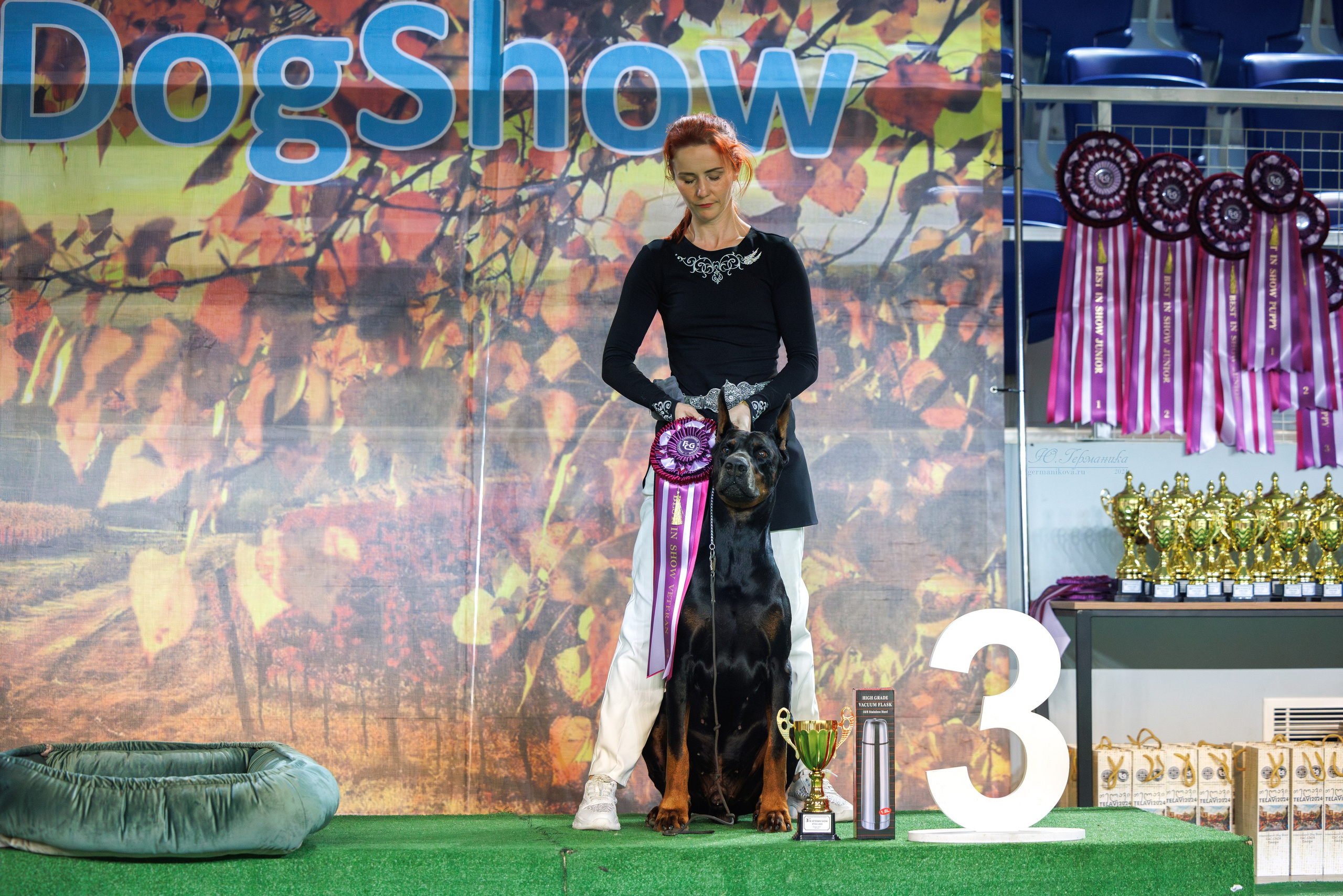 Грузия,Телави 2хCACIB 19-20.10.2024. Фотограф-анималист Юлия Германика