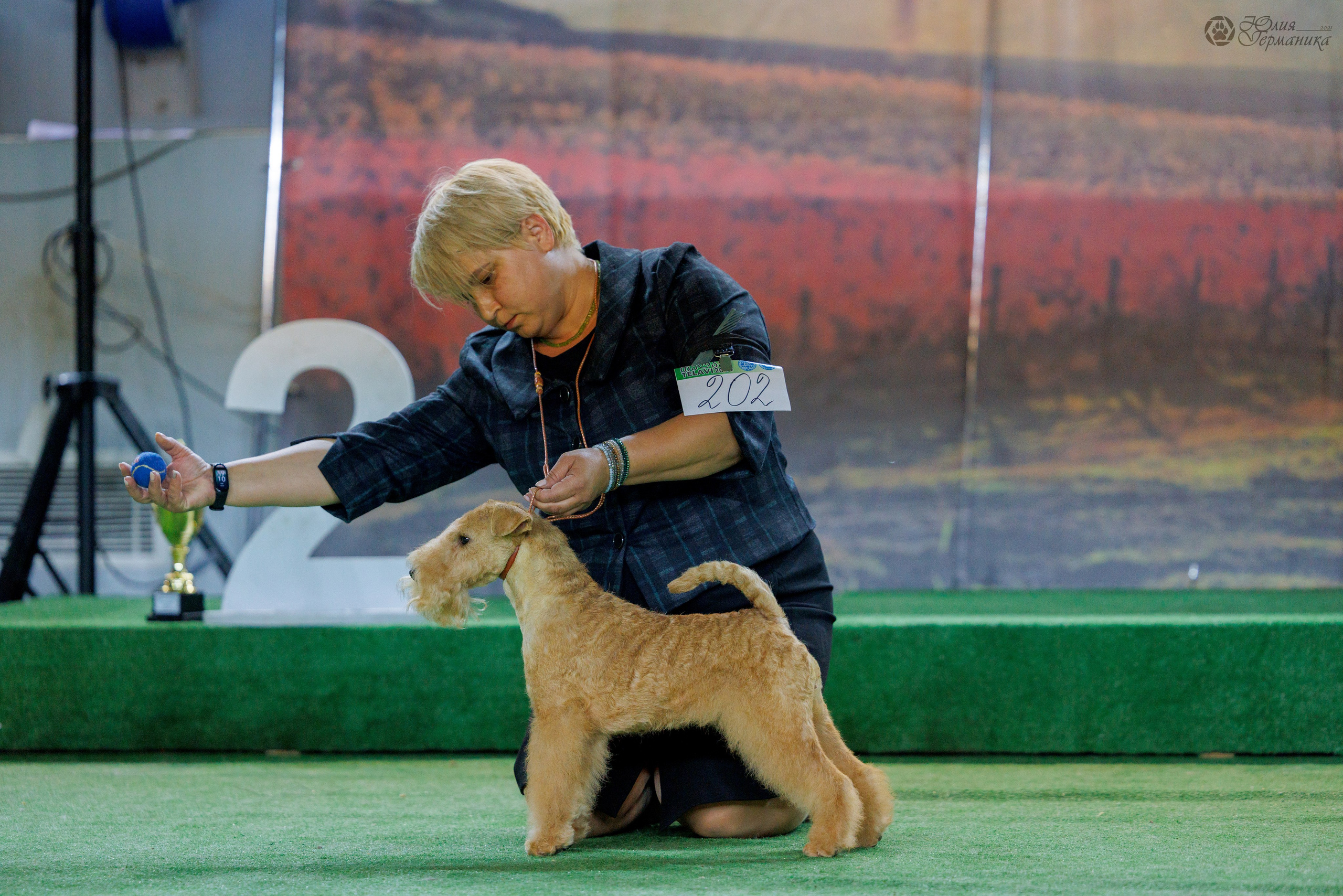 Грузия,Телави 2хCACIB 19-20.10.2024. Фотограф-анималист Юлия Германика