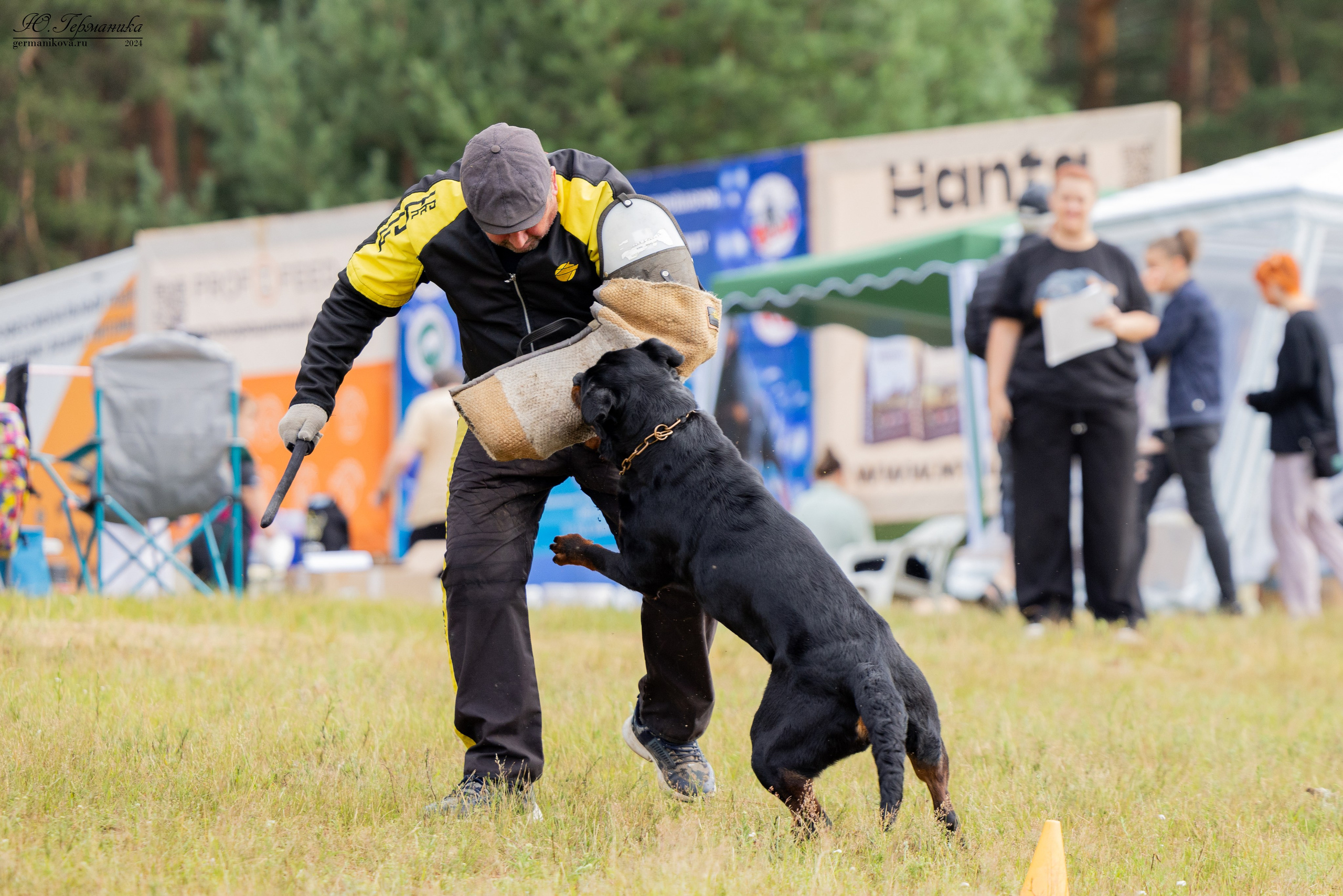 ПК и КЧК ротвейлеры Тверь 6-7.07.2024. Фотограф-анималист Юлия Германика