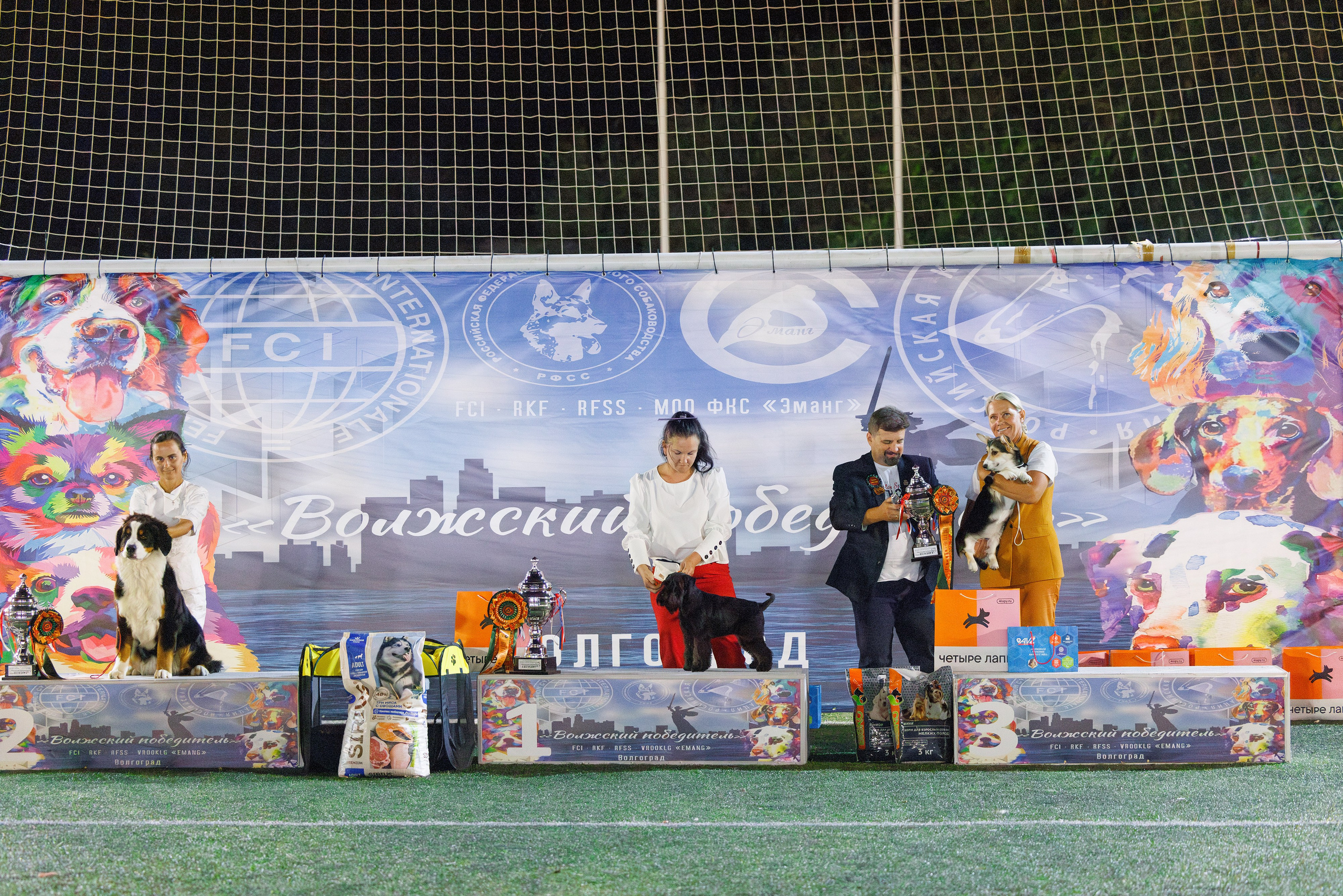 Волгоград 2-4.08.2024. Фотограф-анималист Юлия Германика