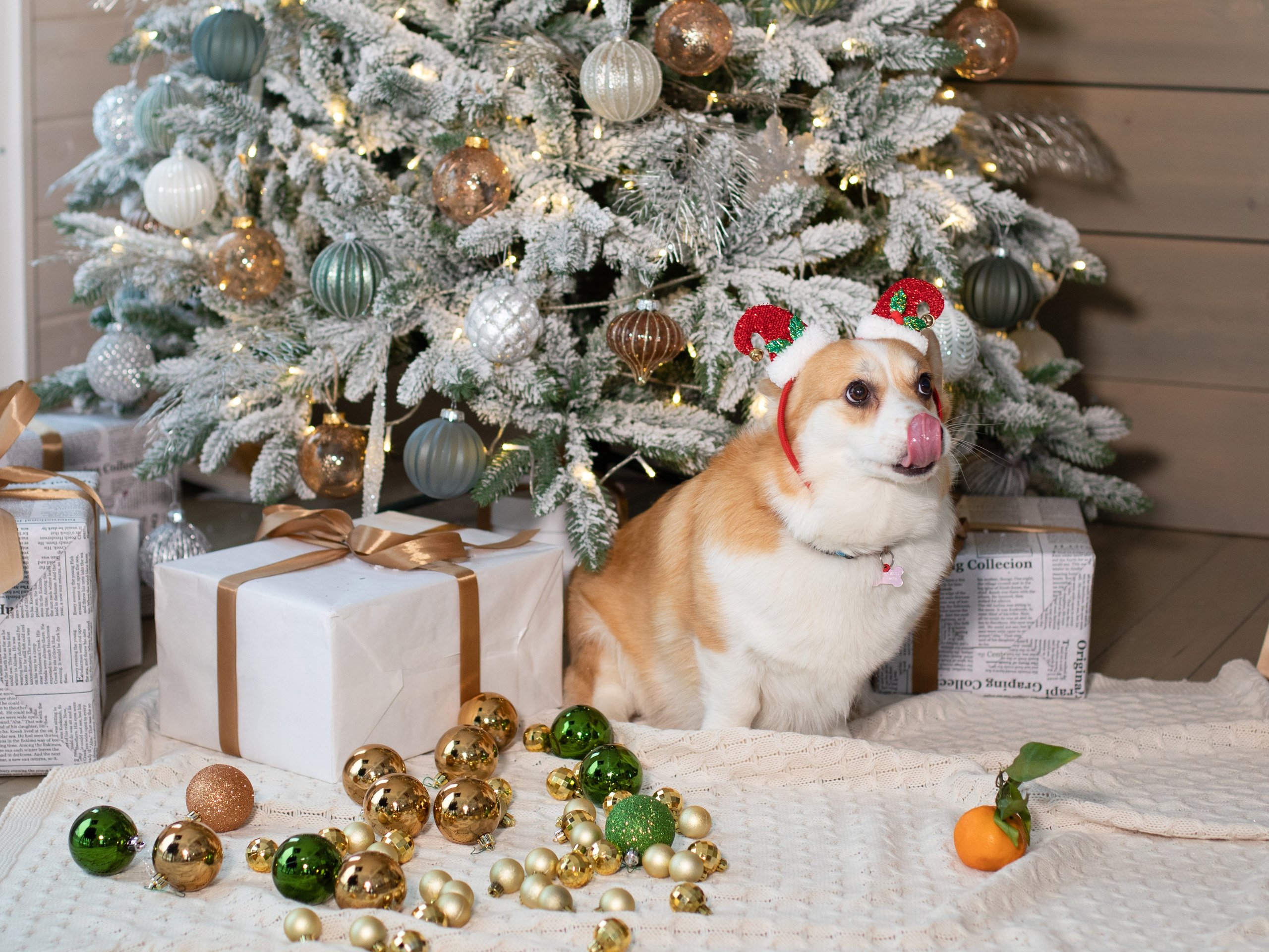 Рождество в Hamlet house. Видеограф и фотограф в Москве Анастасия Рябчикова