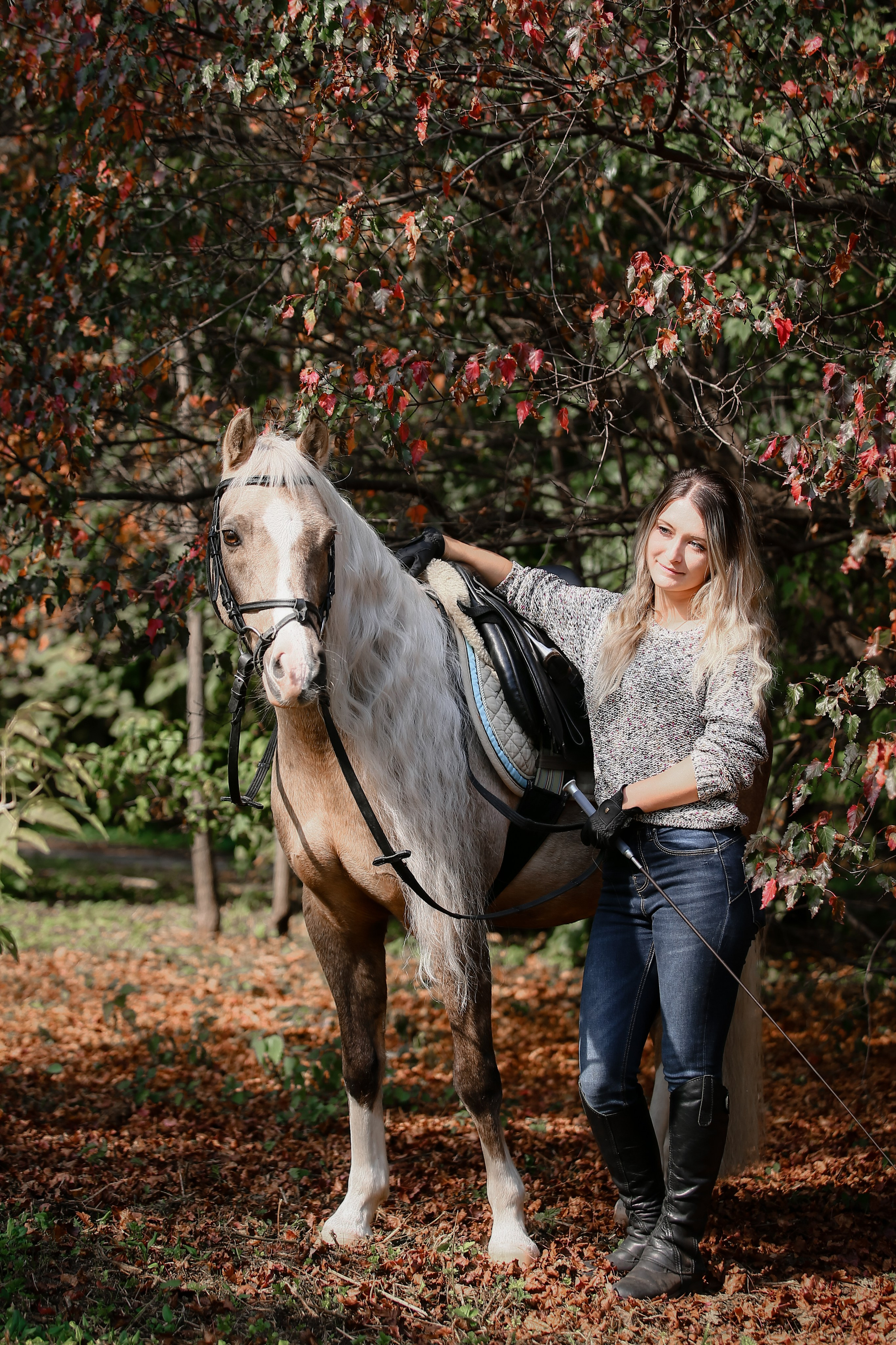 Вместе. KatymartArt — Equine photography