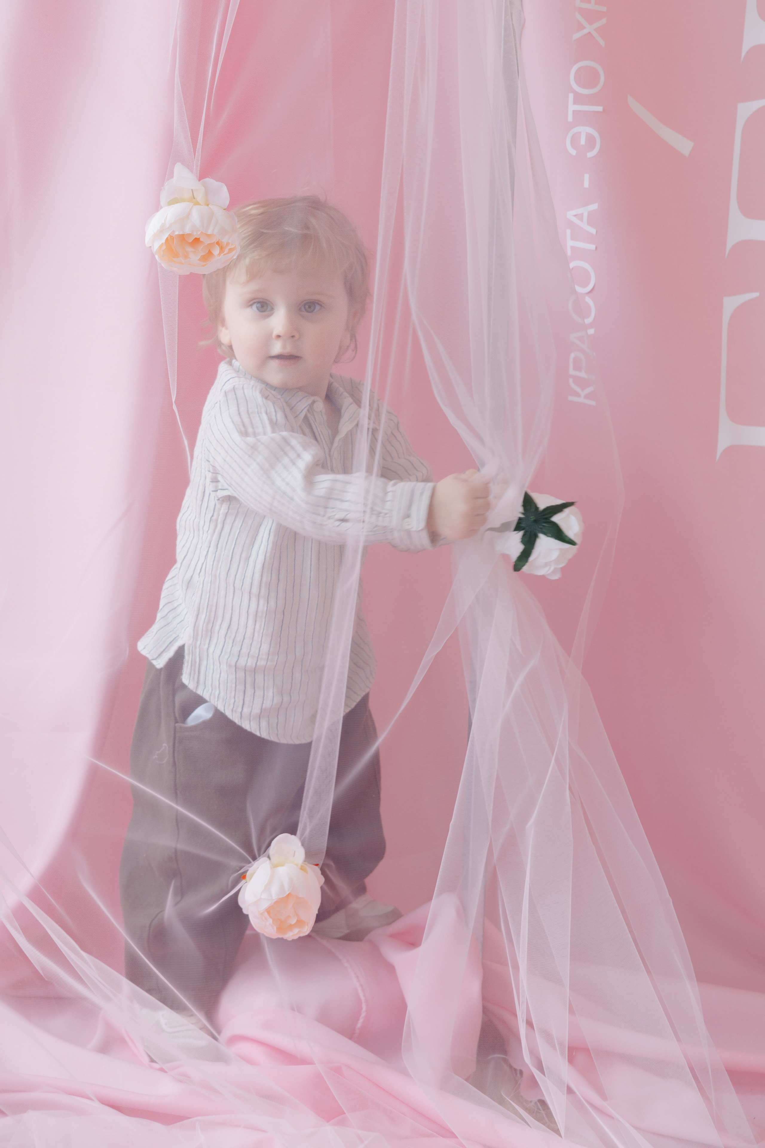 День рождения студии. Главная