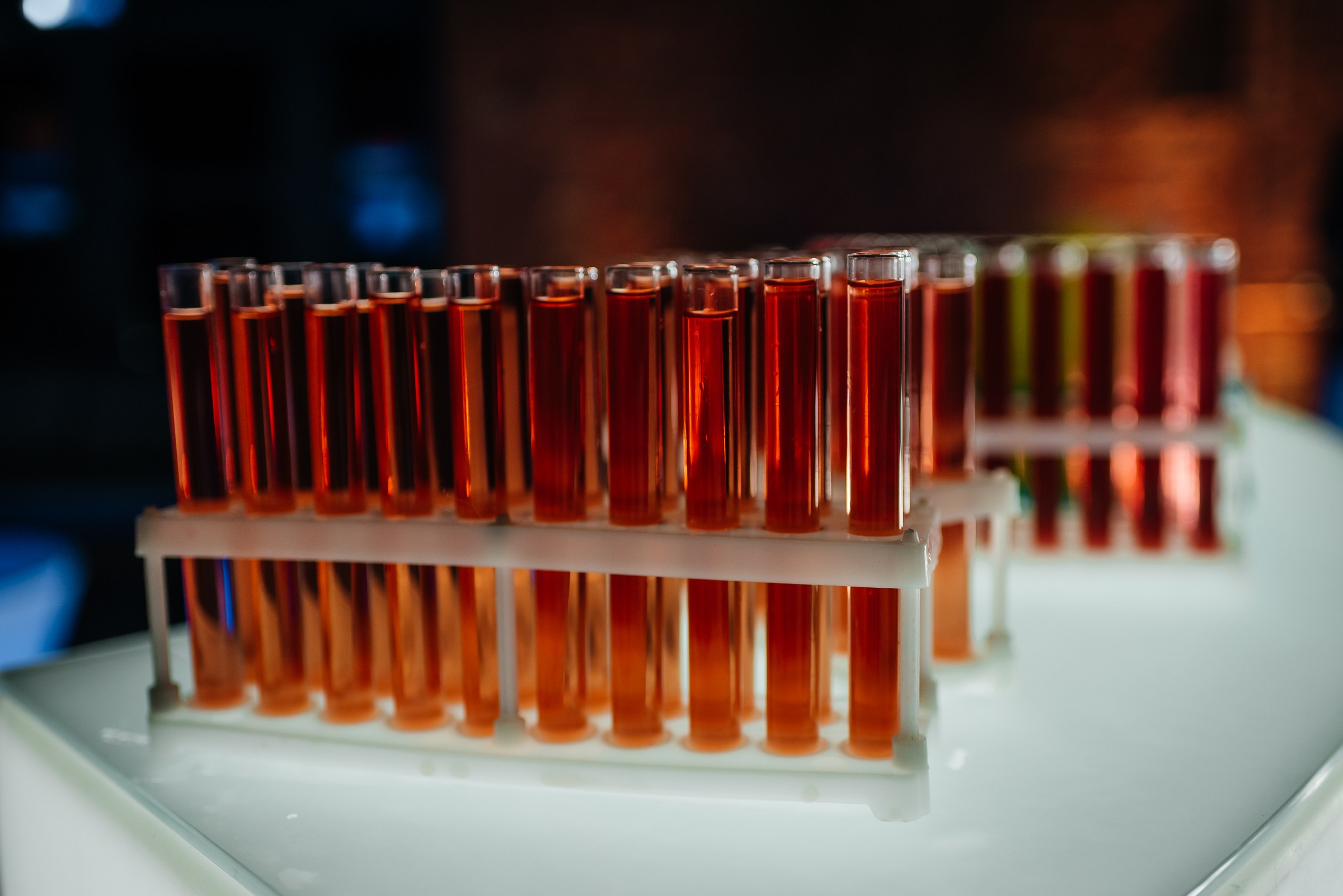 Репортажная фотосъёмка в Брусницын Холле. Свадебный фотограф в Санкт-Петербурге Венера Ахметова