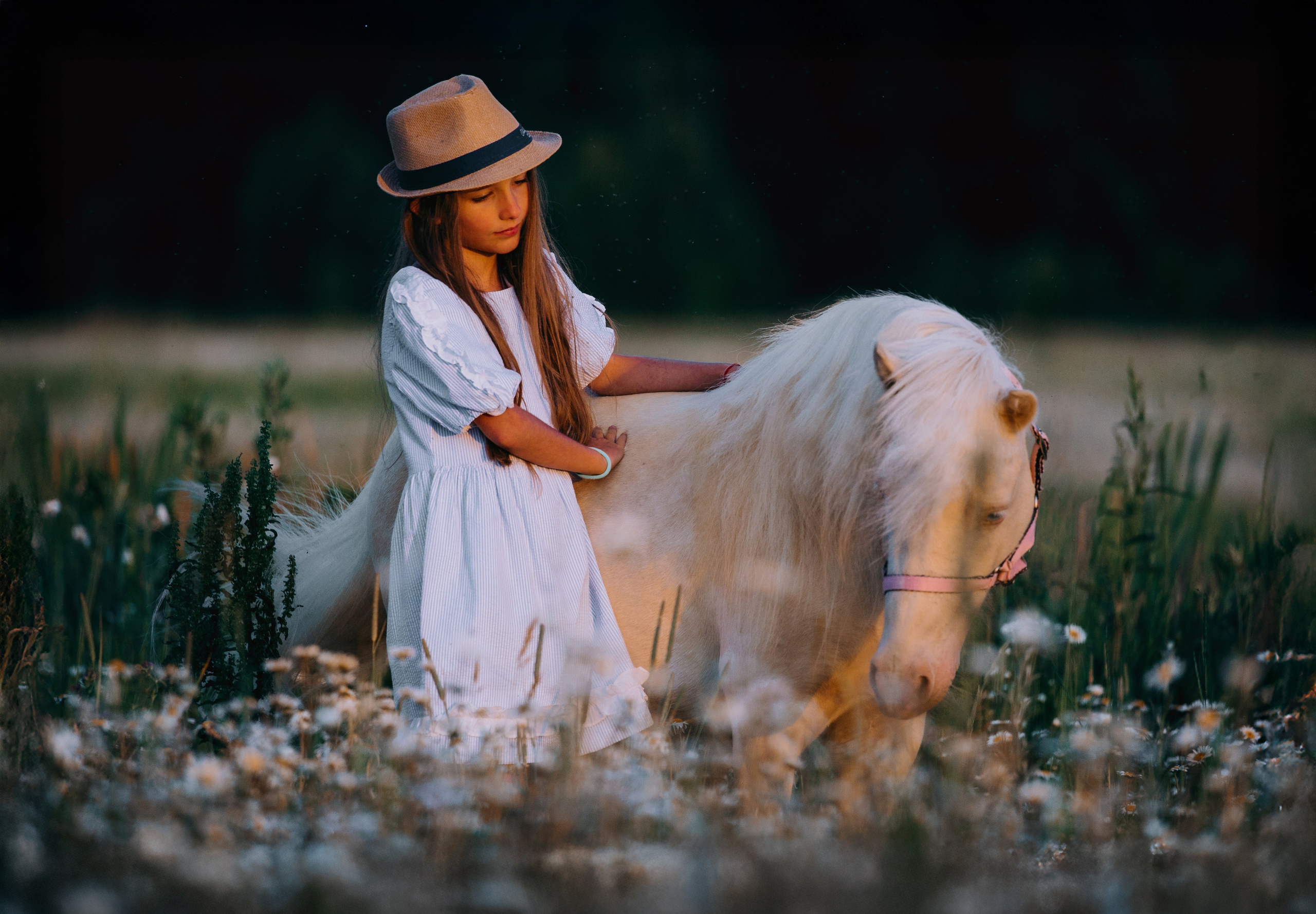 Есения и Макэрия. Фотограф-анималист Ксендзова Кристина