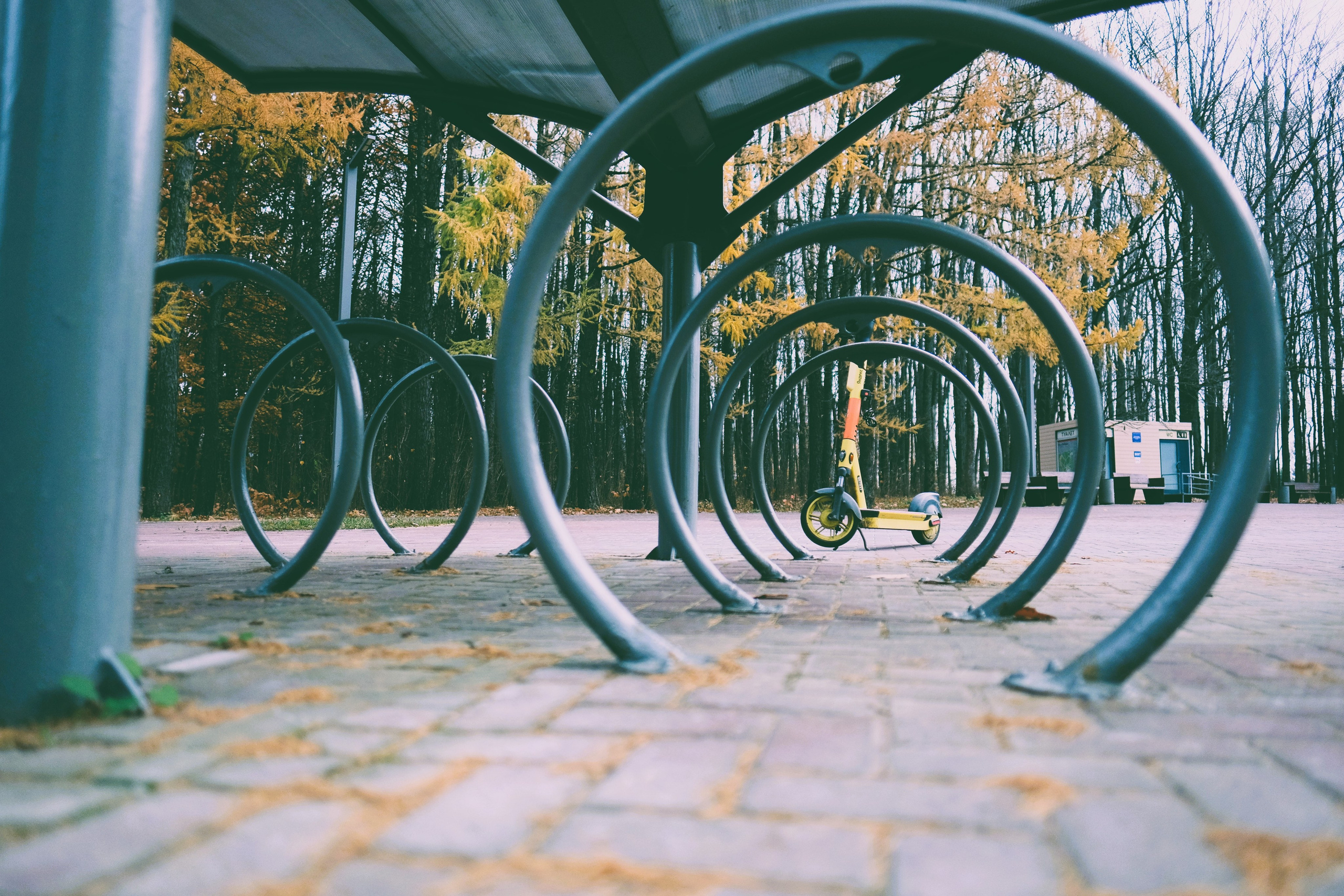 Street. Шевцов Данила — семейный фотограф