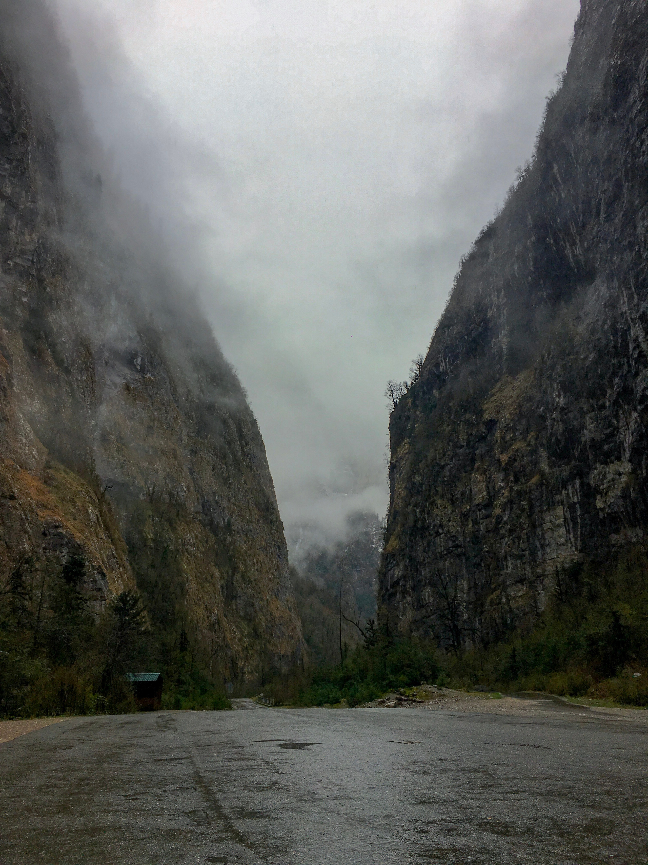 Весенний тур в Гагры «Леди-Миледи». Фотограф Таня Тощевикова