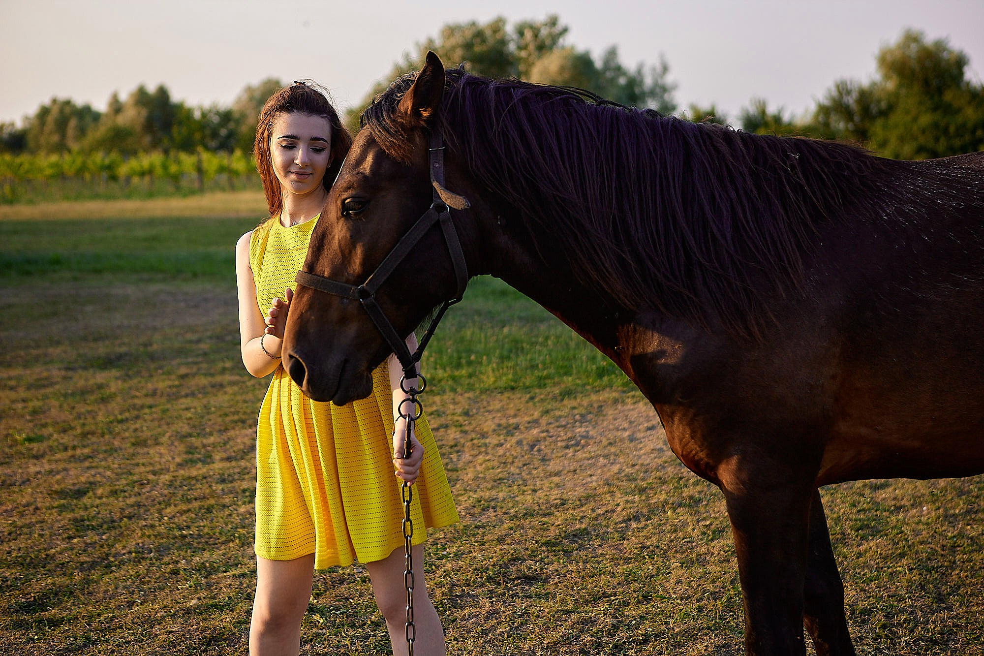 Анастасия лаванда. Семейный и свадебный фотограф в Краснодаре Михеева Светлана