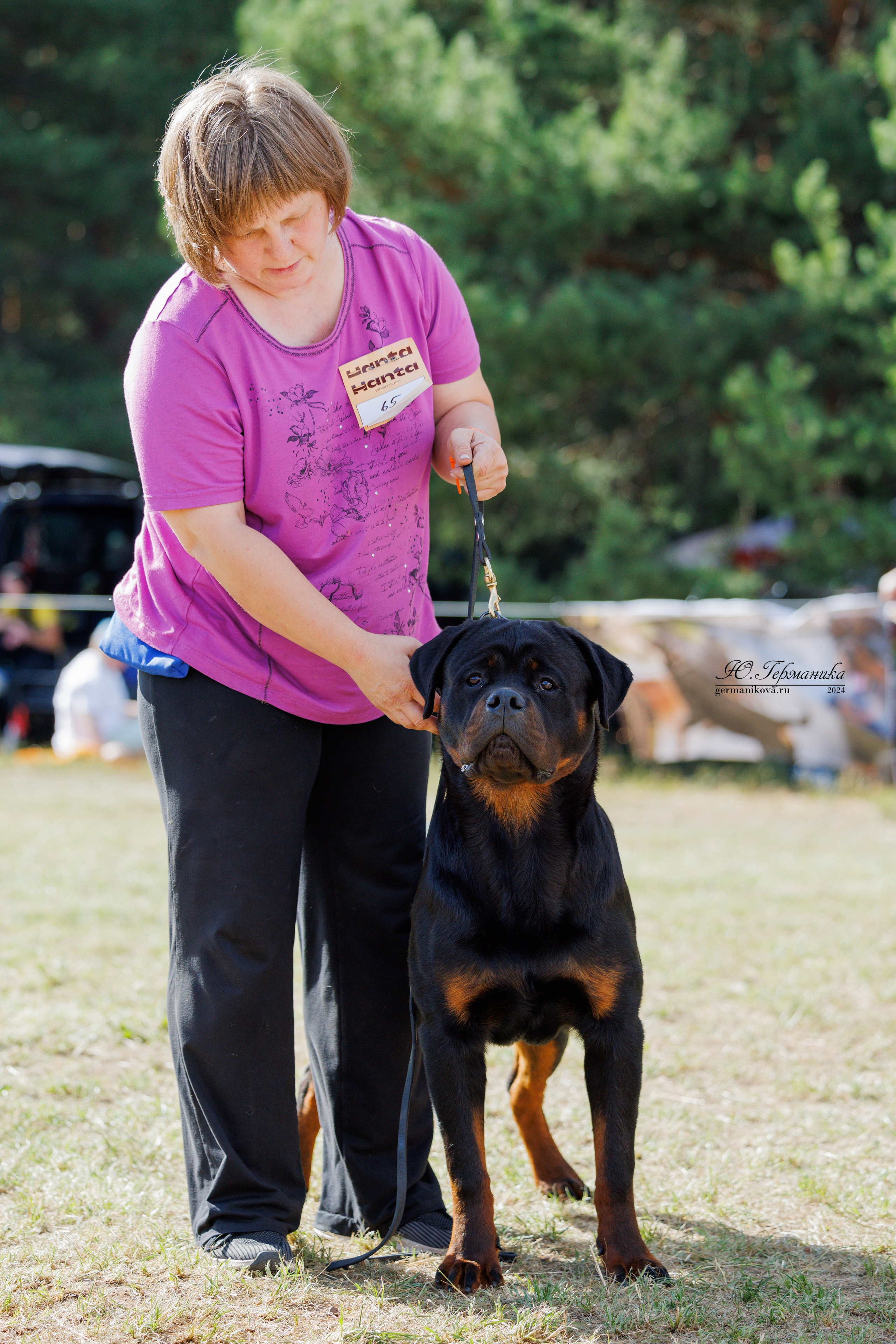 ПК и КЧК ротвейлеры Тверь 6-7.07.2024. Фотограф-анималист Юлия Германика