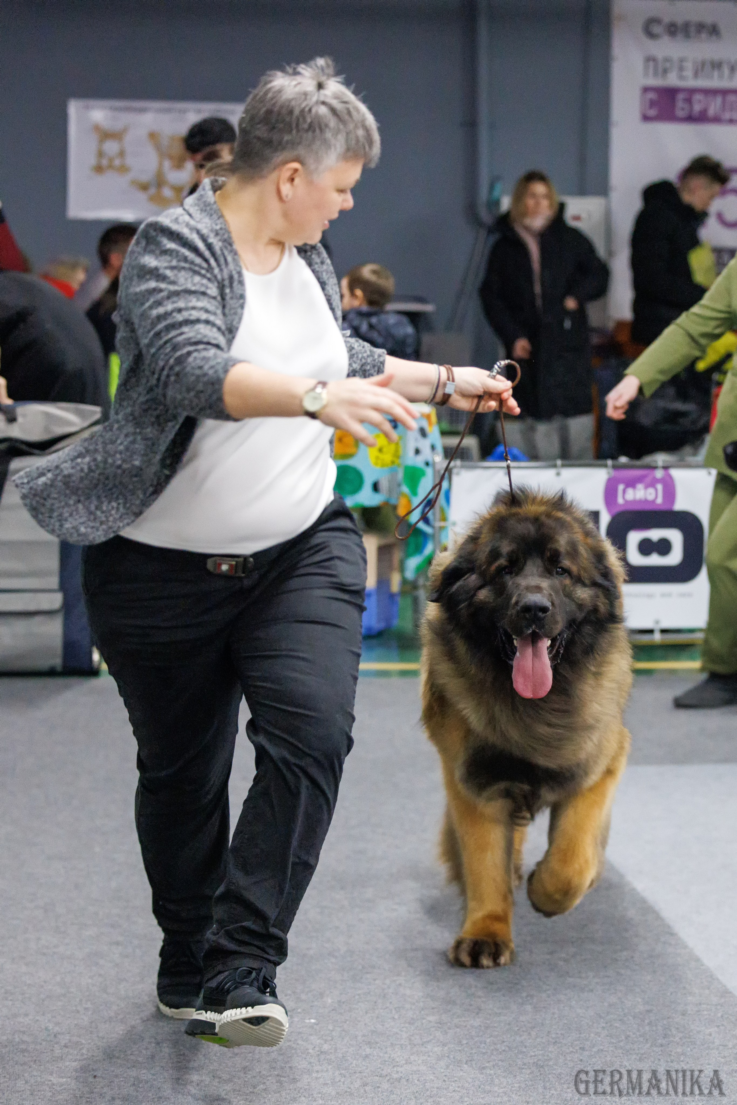 Сфера 28.01. и 4.02.2024. Фотограф-анималист Юлия Германика