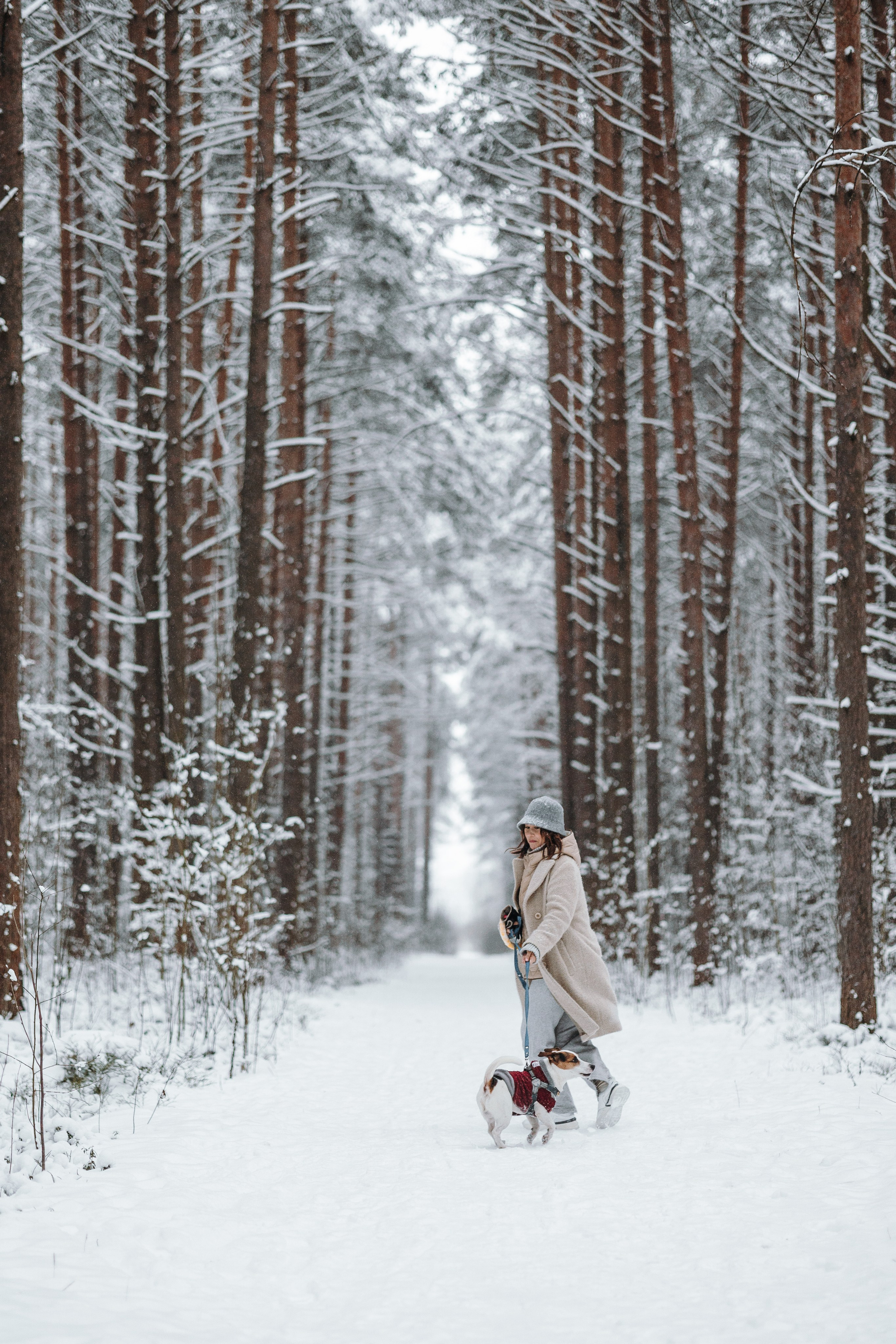 Мики и его семья. Фотограф — Анималист | Санкт-Петербург