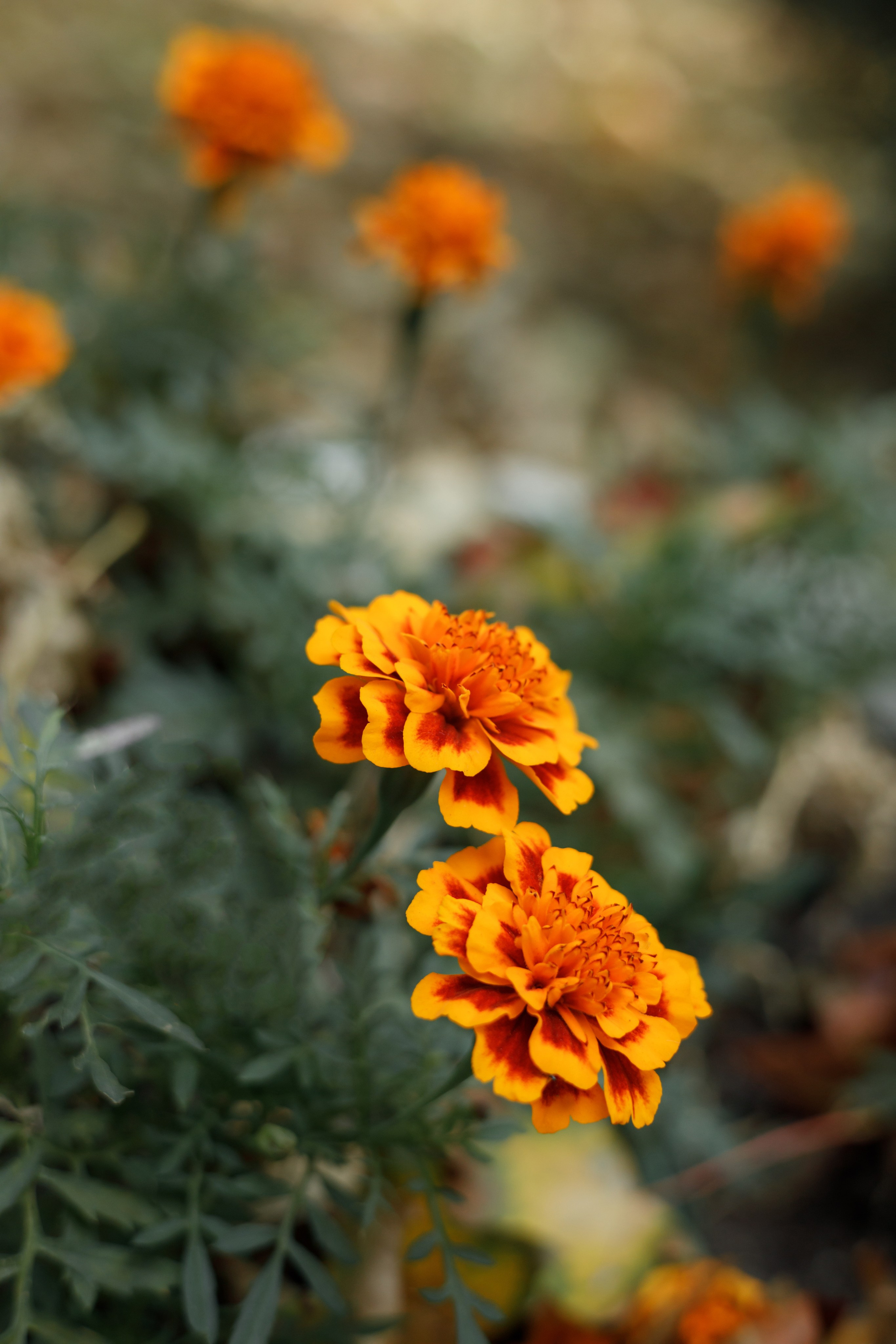 Венчание: Татьяна и Дмитрий. Свадебный и репортажный фотограф (Москва, Королев и другие)