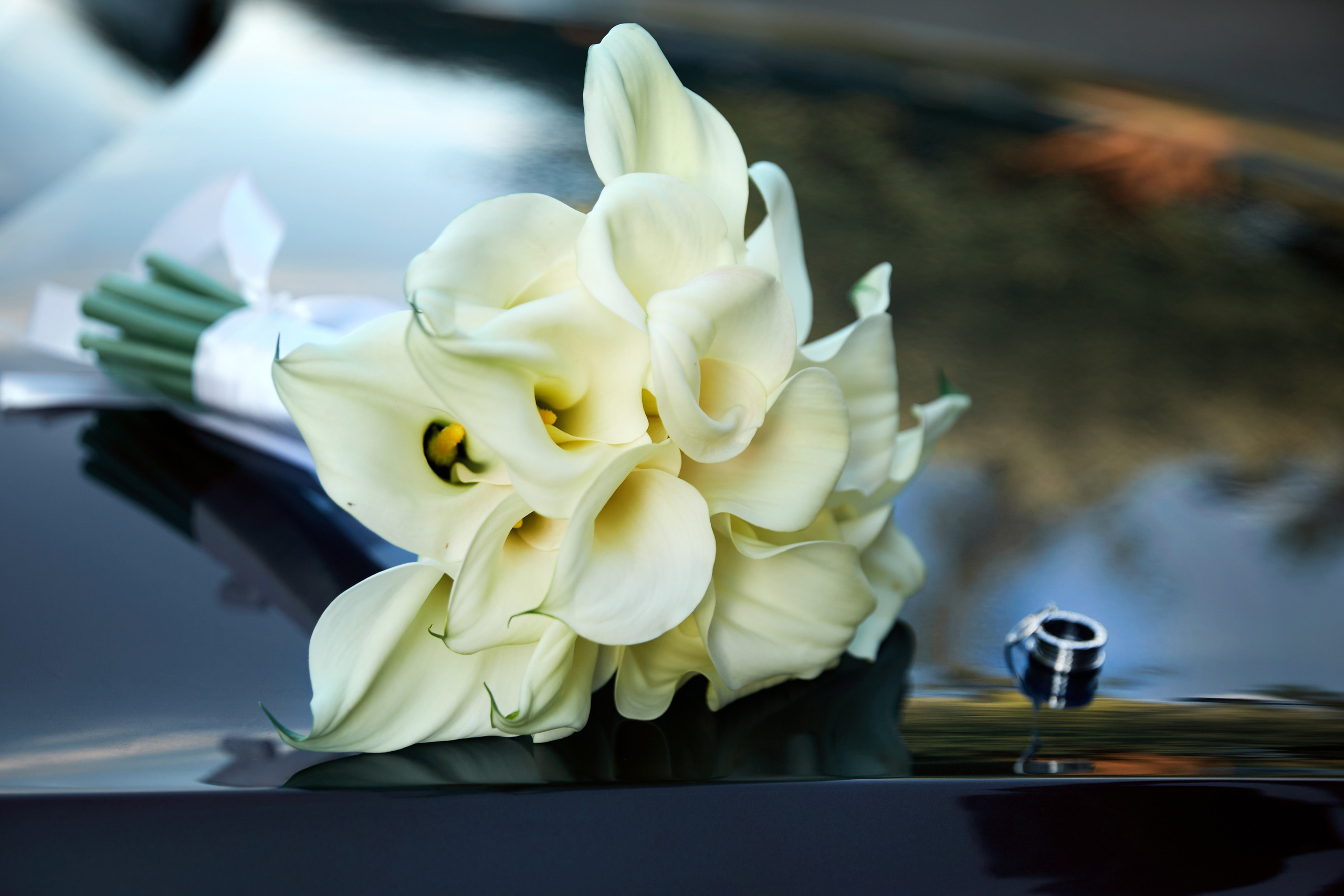 Свадебная фотосессия. Фотограф ваших самых ярких событий в Москве и СПБ. Збронская Юлия