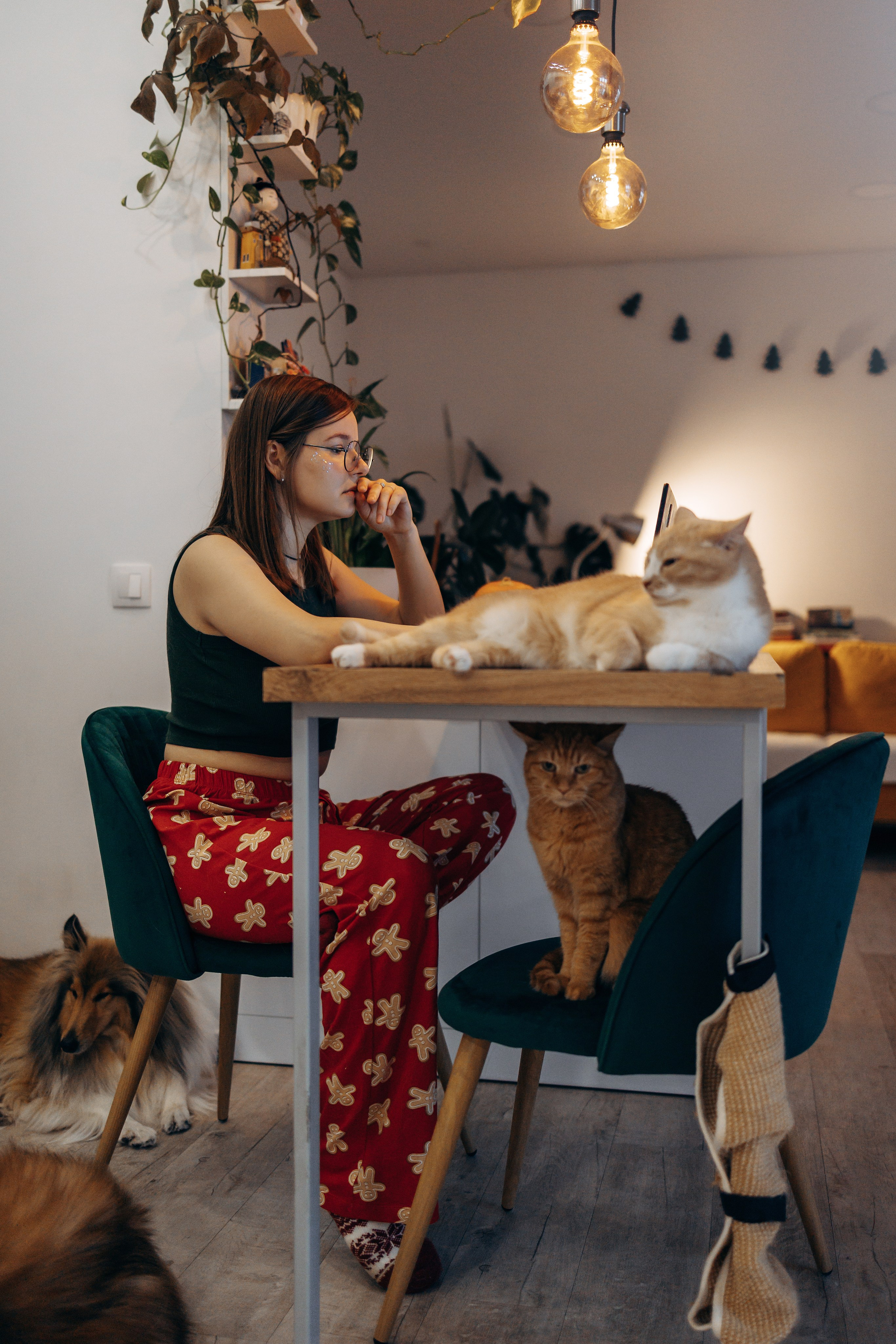 Юлиана, Элли и Райан. YULA KOLESOVA | Фотограф — Анималист | Художник | Тюмень