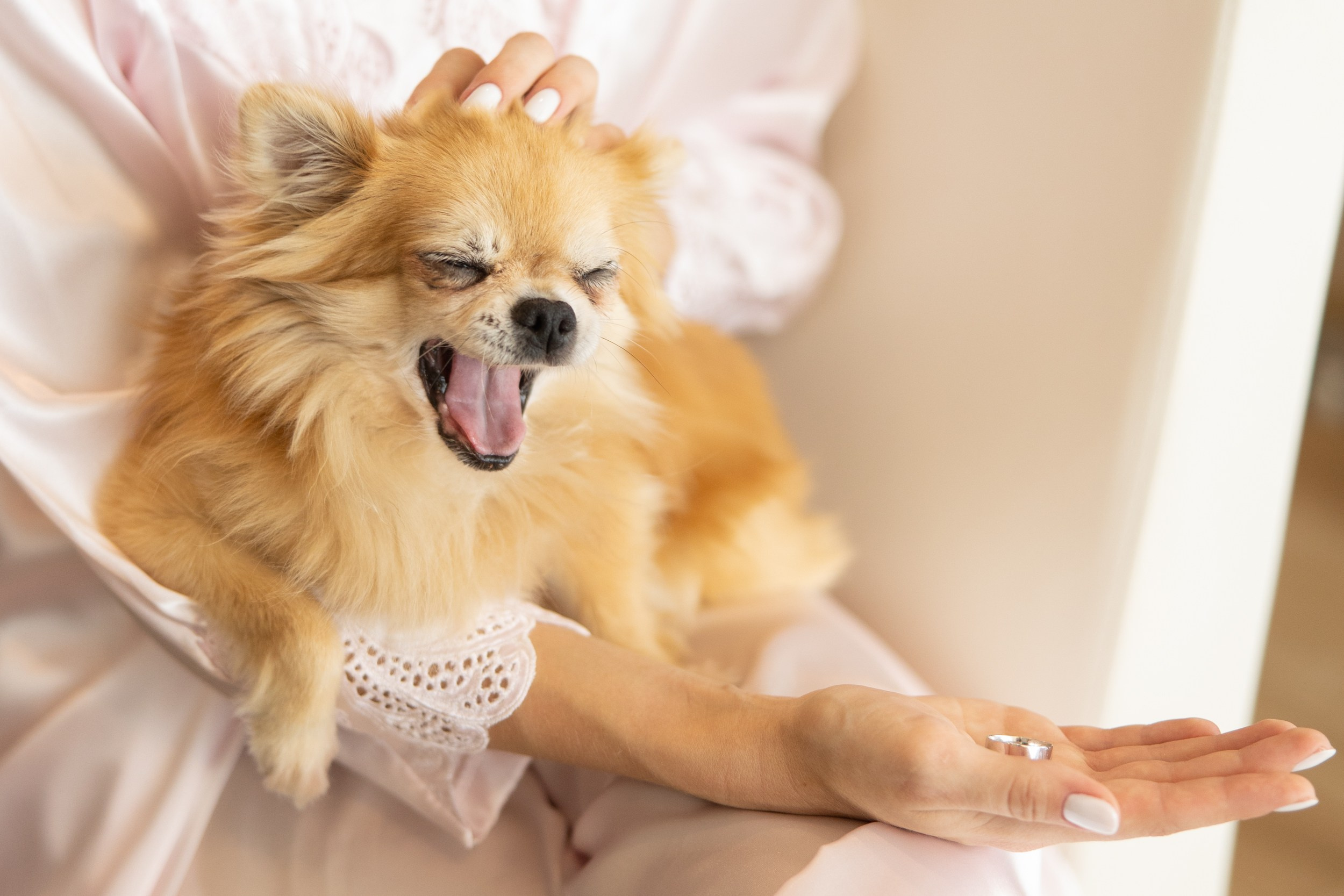 Сборы. Свадебный фотограф Владивосток, Свадебная фотография