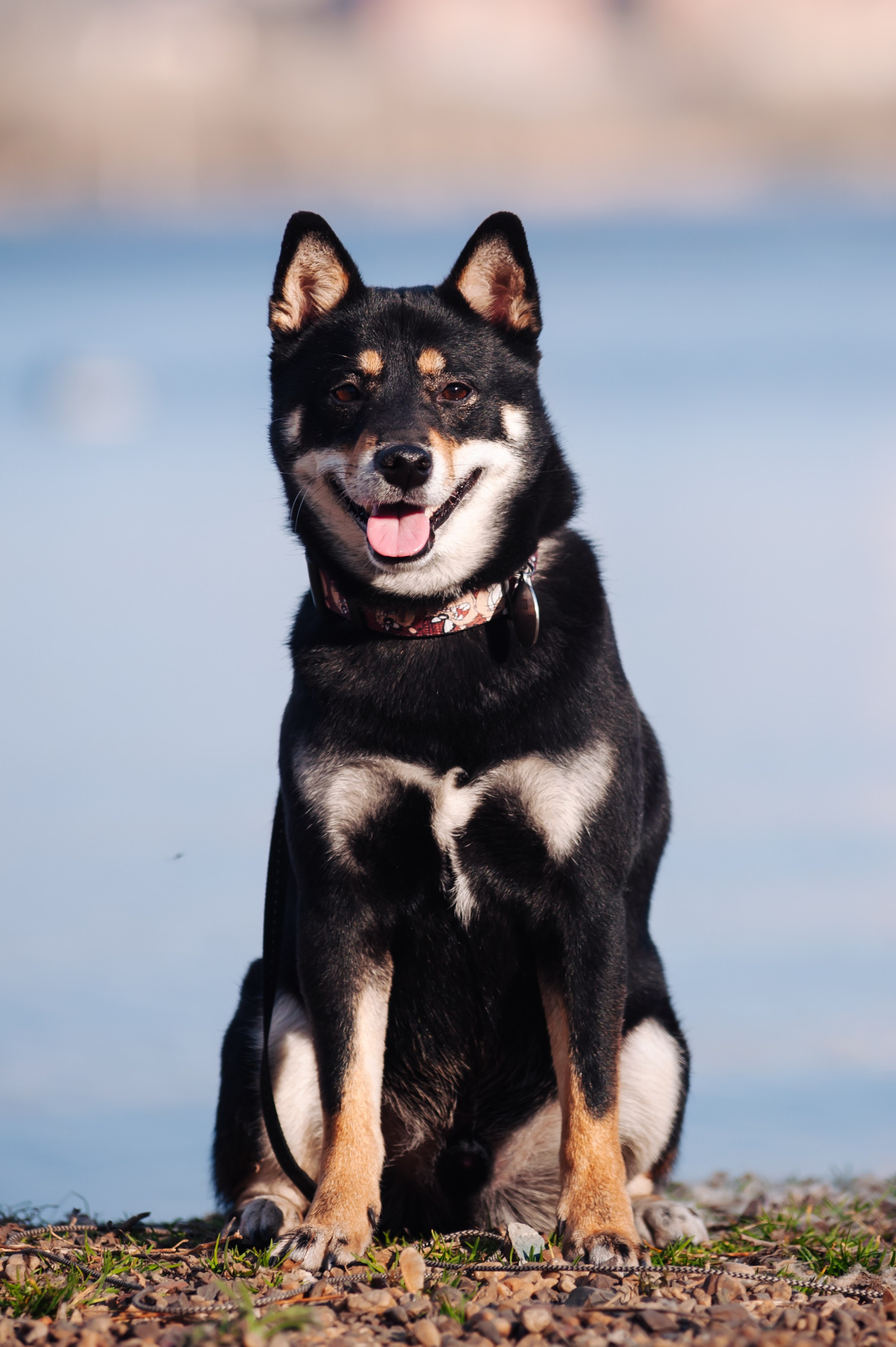 Ксения и Йоши. Фотограф Магнитогорск Данил Семенов