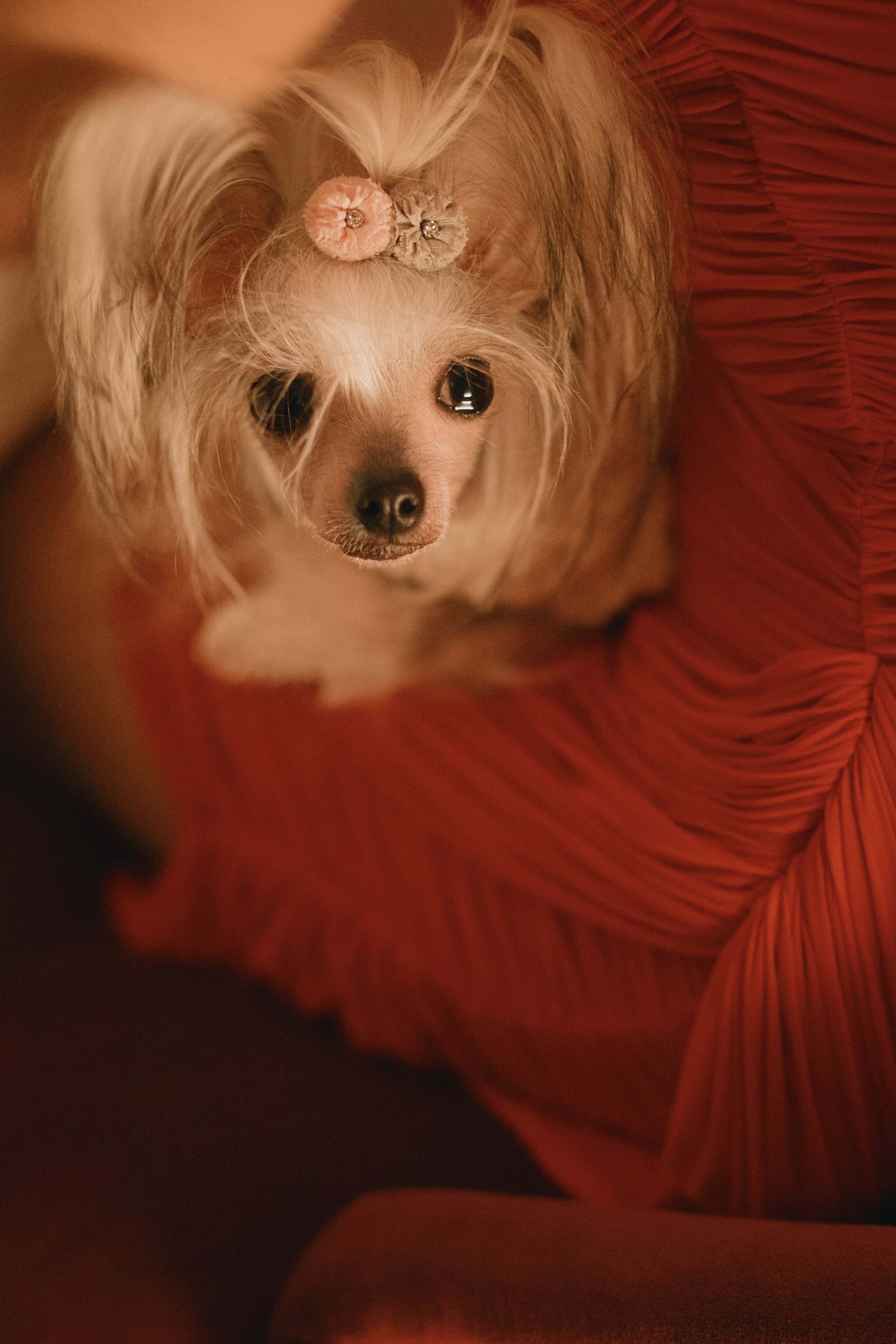 Юбилей. Екатерина. Фотограф Юсова Мария