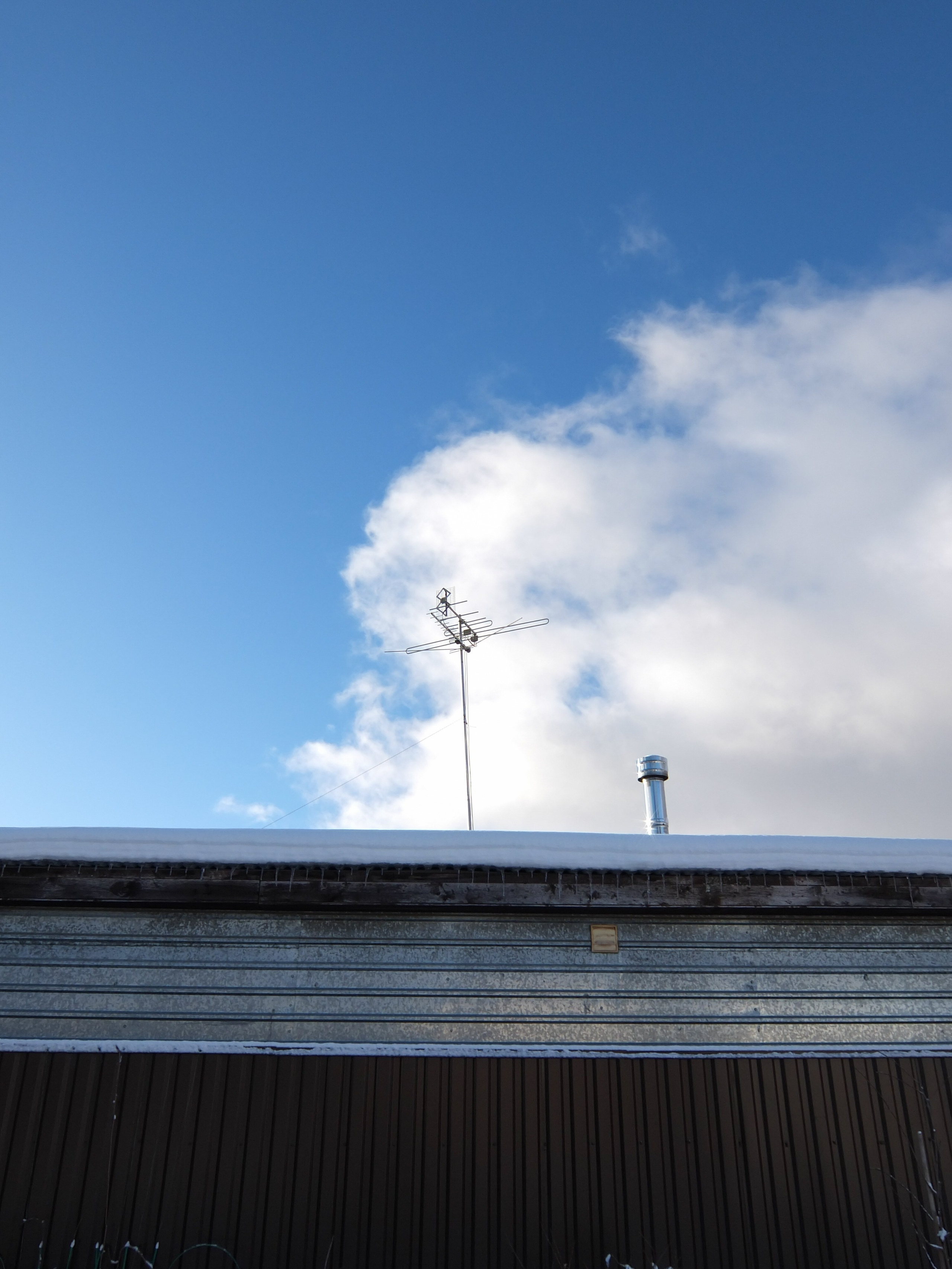 Солнечный день Нового Года. Фотограф-документалист Мария Осокина