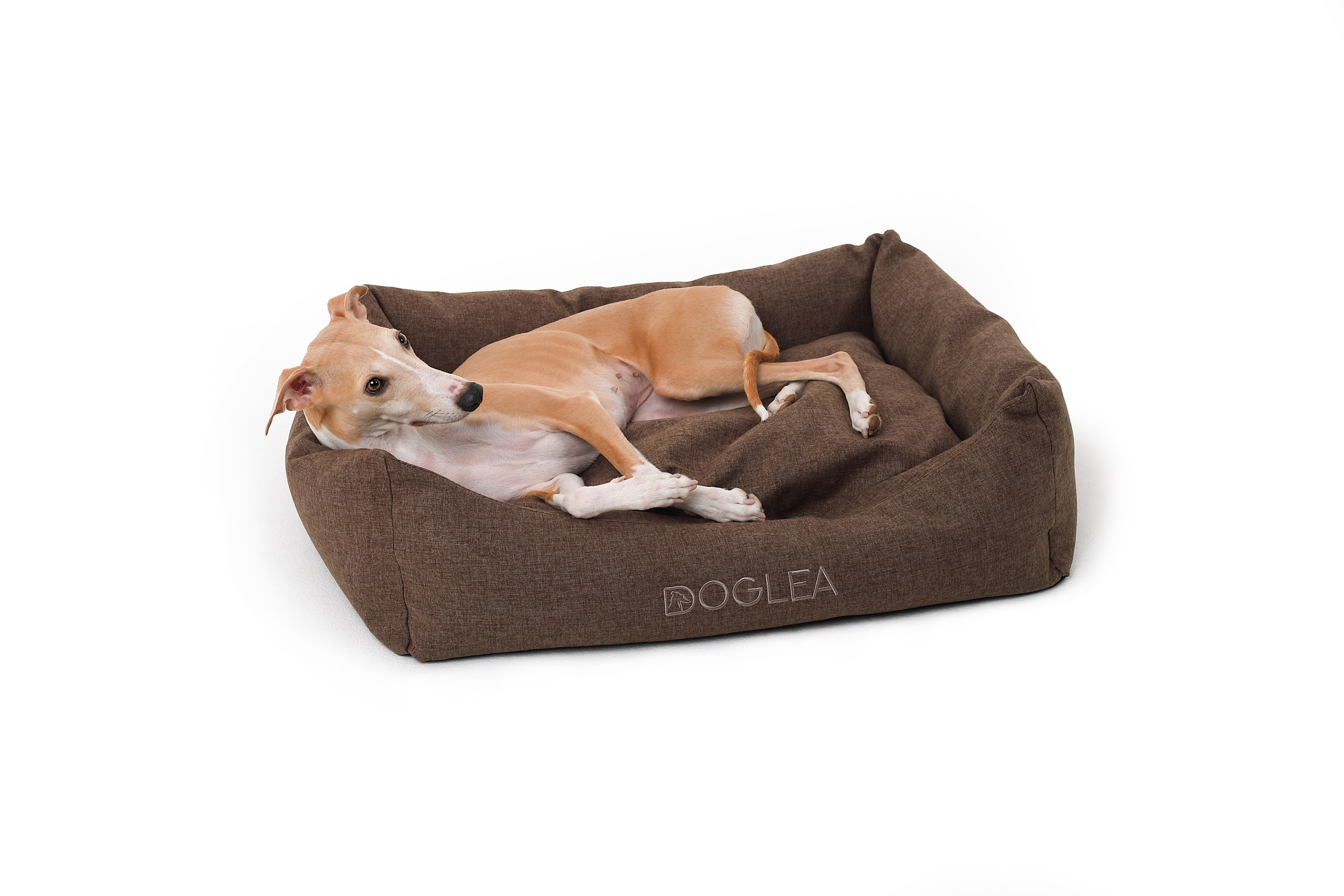 Для брендов. Фотограф- анималист Санкт-Петербург