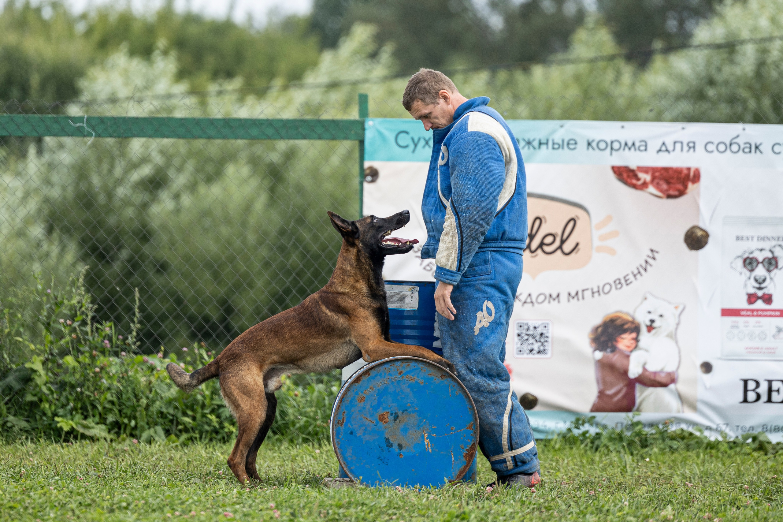 Соревнования по Мондьорингу г. Вологда 10-11.08.2024. Фотограф-анималист Анна Маринич