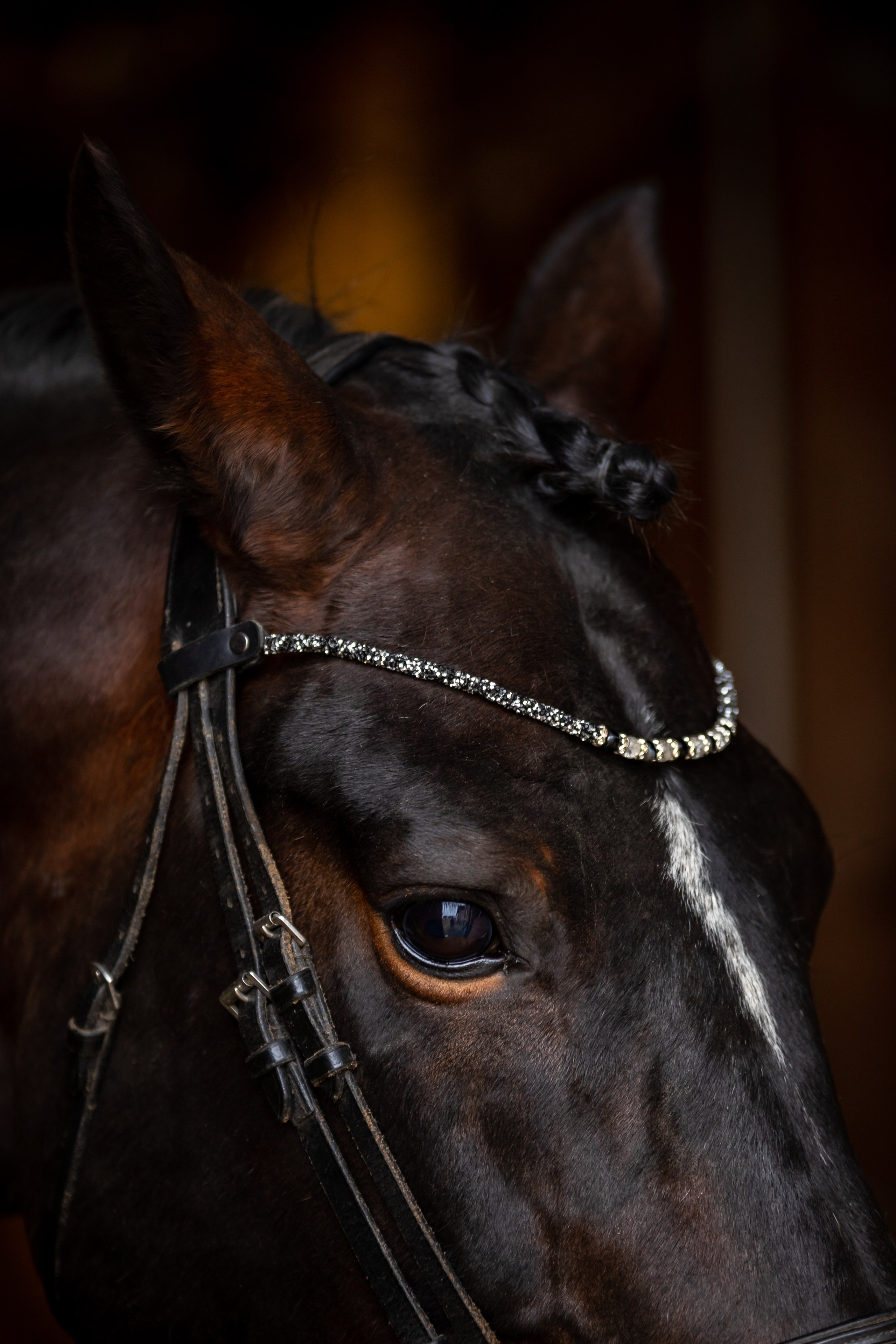 Гардарика. Ася Пчелинцева, фотограф в СПб и ЛО