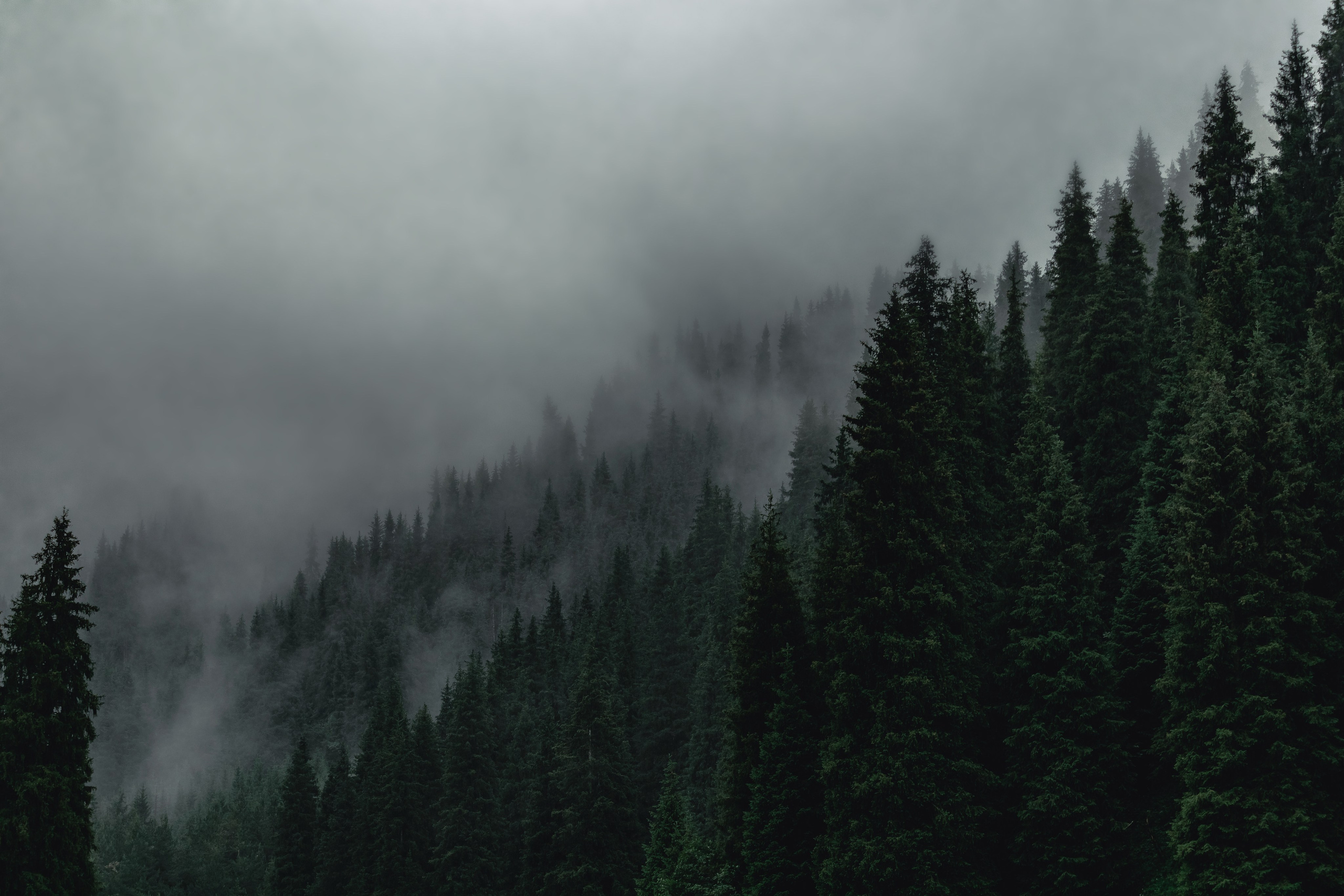 Жизнь. Фотограф Алматы | Весь мир — Никита Колодин