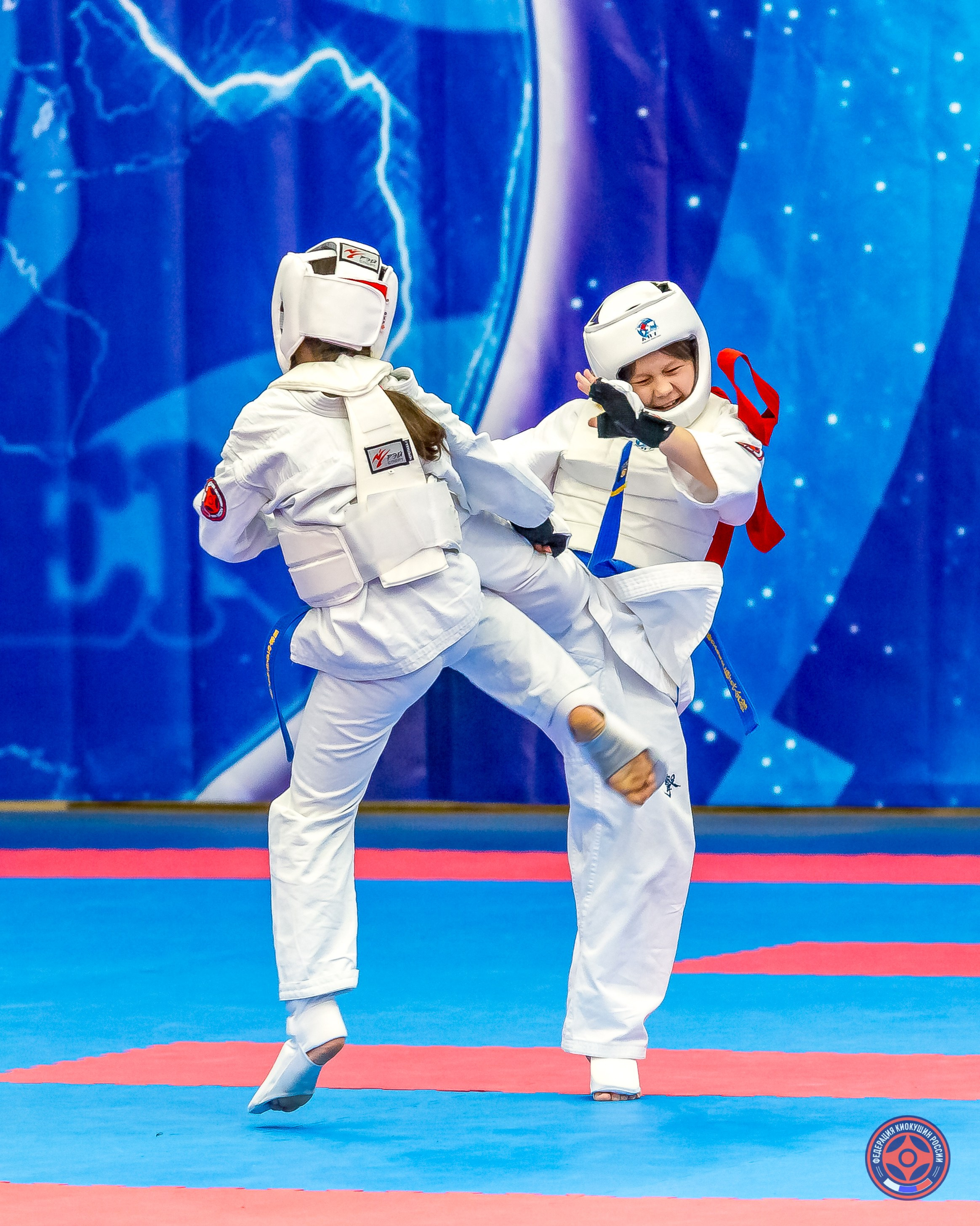 Международный турнир по киокушин «Открытый кубок Seiken». Репортажная съемка в Москве и области. Анималистика