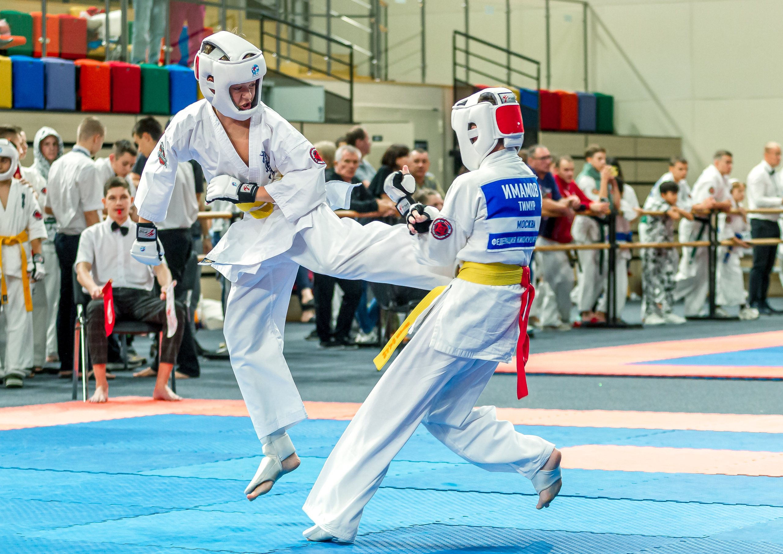 Первенство Московской области по Киокушин в СК «Жаворонки». Репортажная съемка в Москве и области. Анималистика
