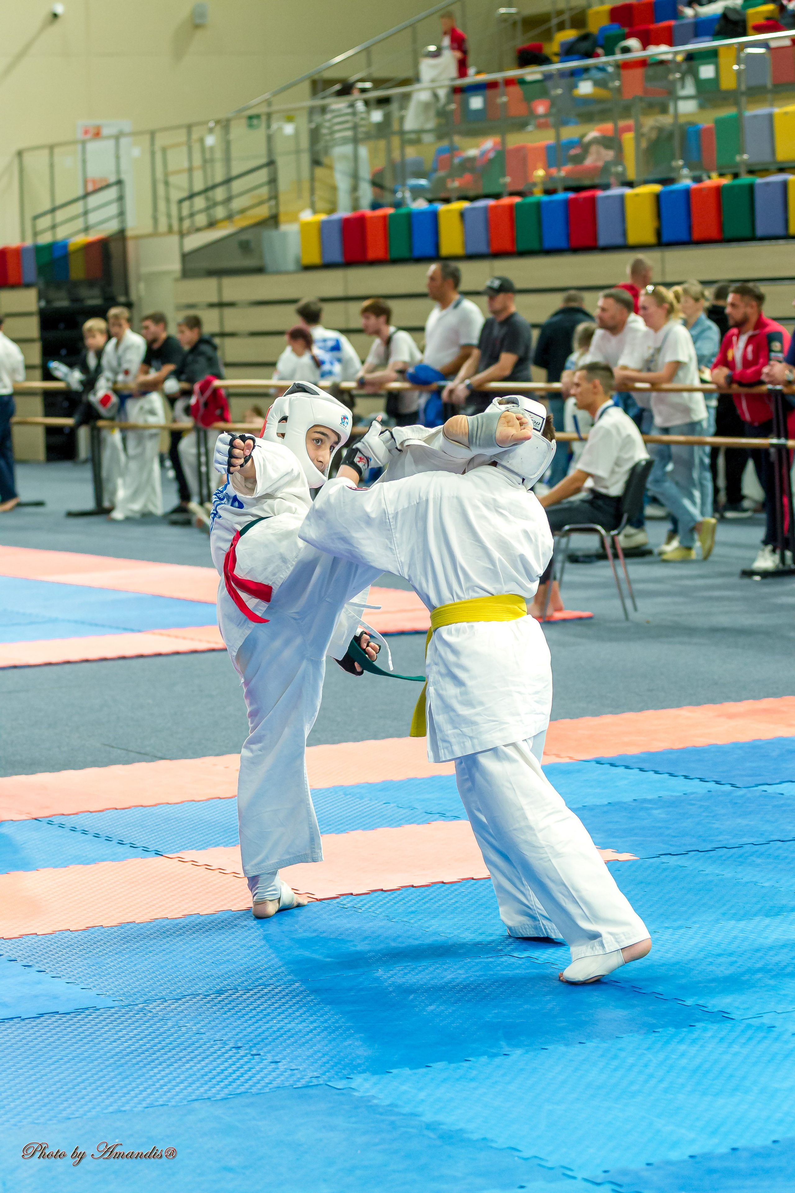Первенство Московской области по Киокушин в СК «Жаворонки». Репортажная съемка в Москве и области. Анималистика