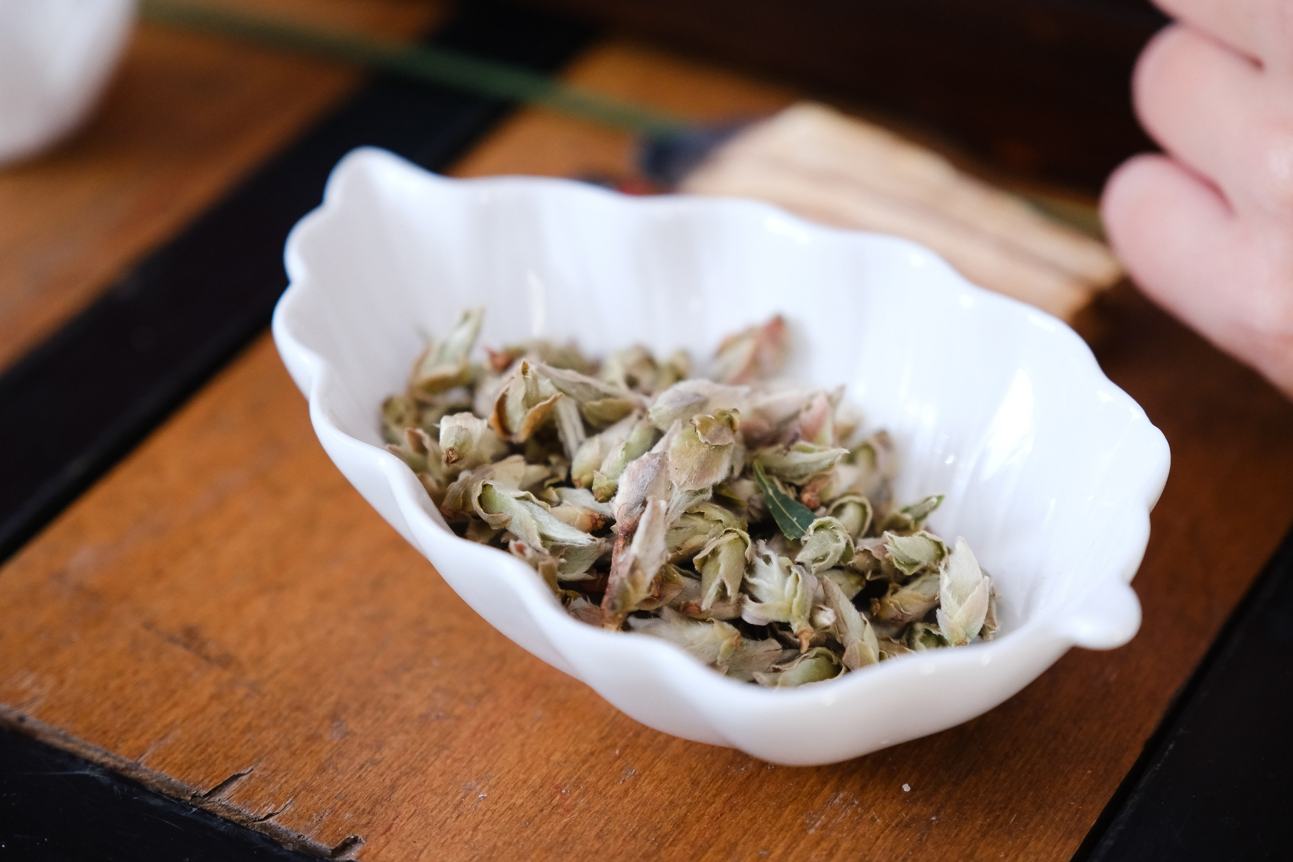 Тимбилдинг. Фотограф Анатолий Деникин