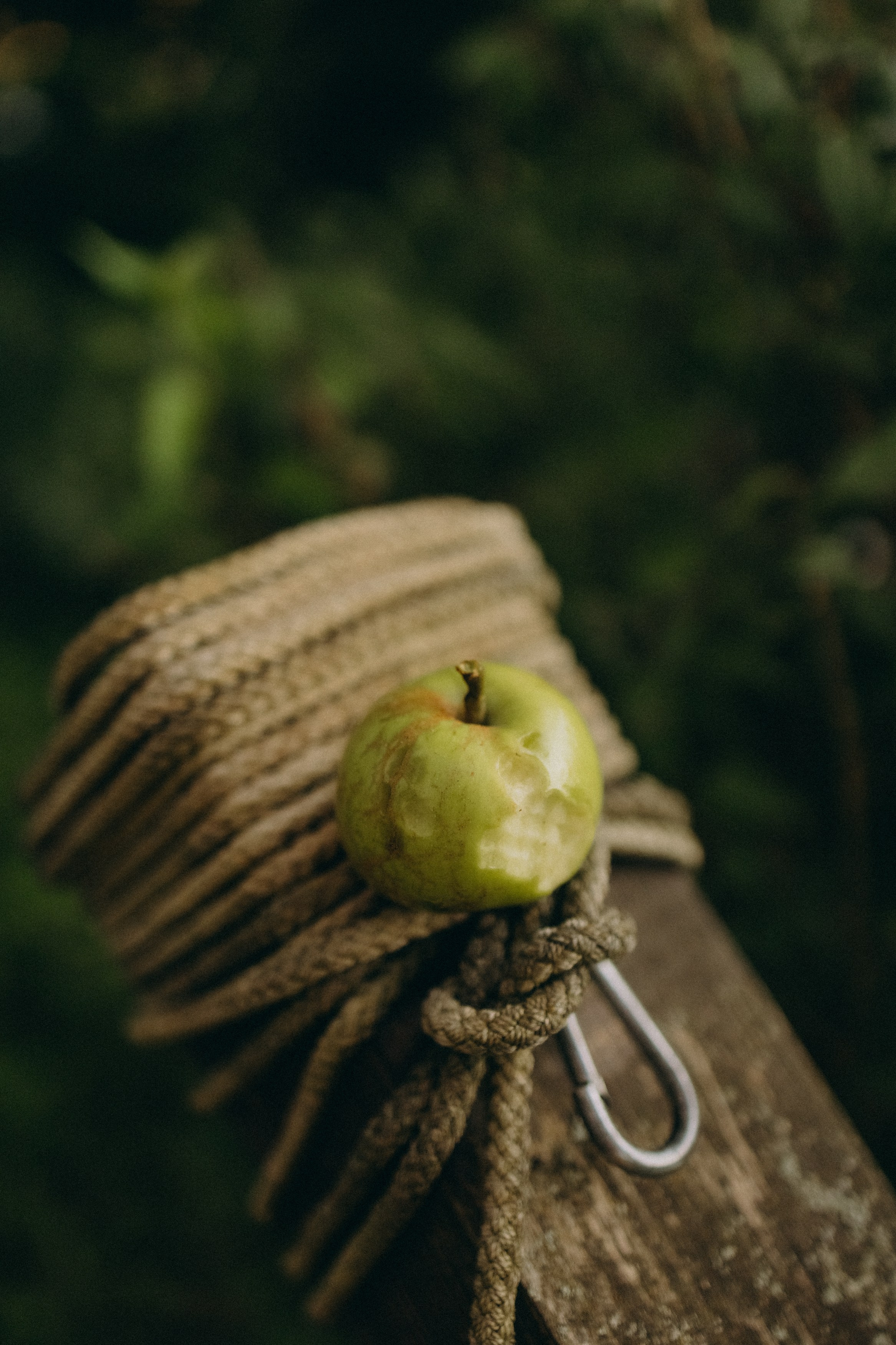 Алена, Еся, Агния. Главная