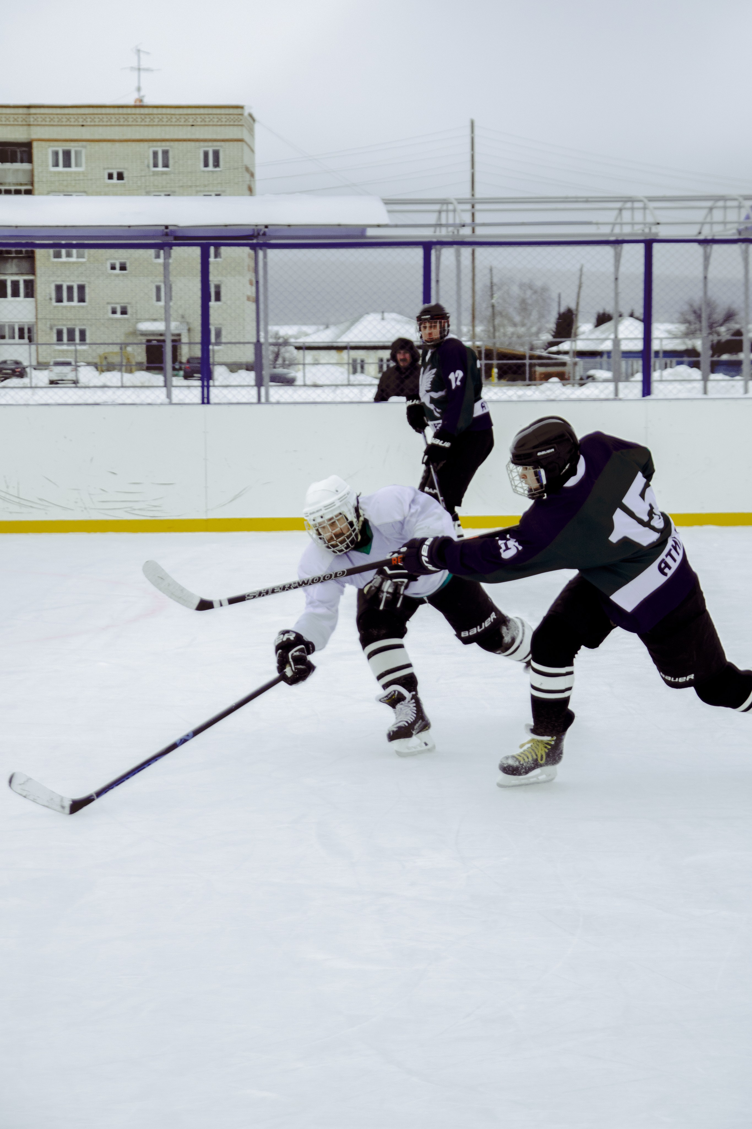 Хоккей 29.12.2024