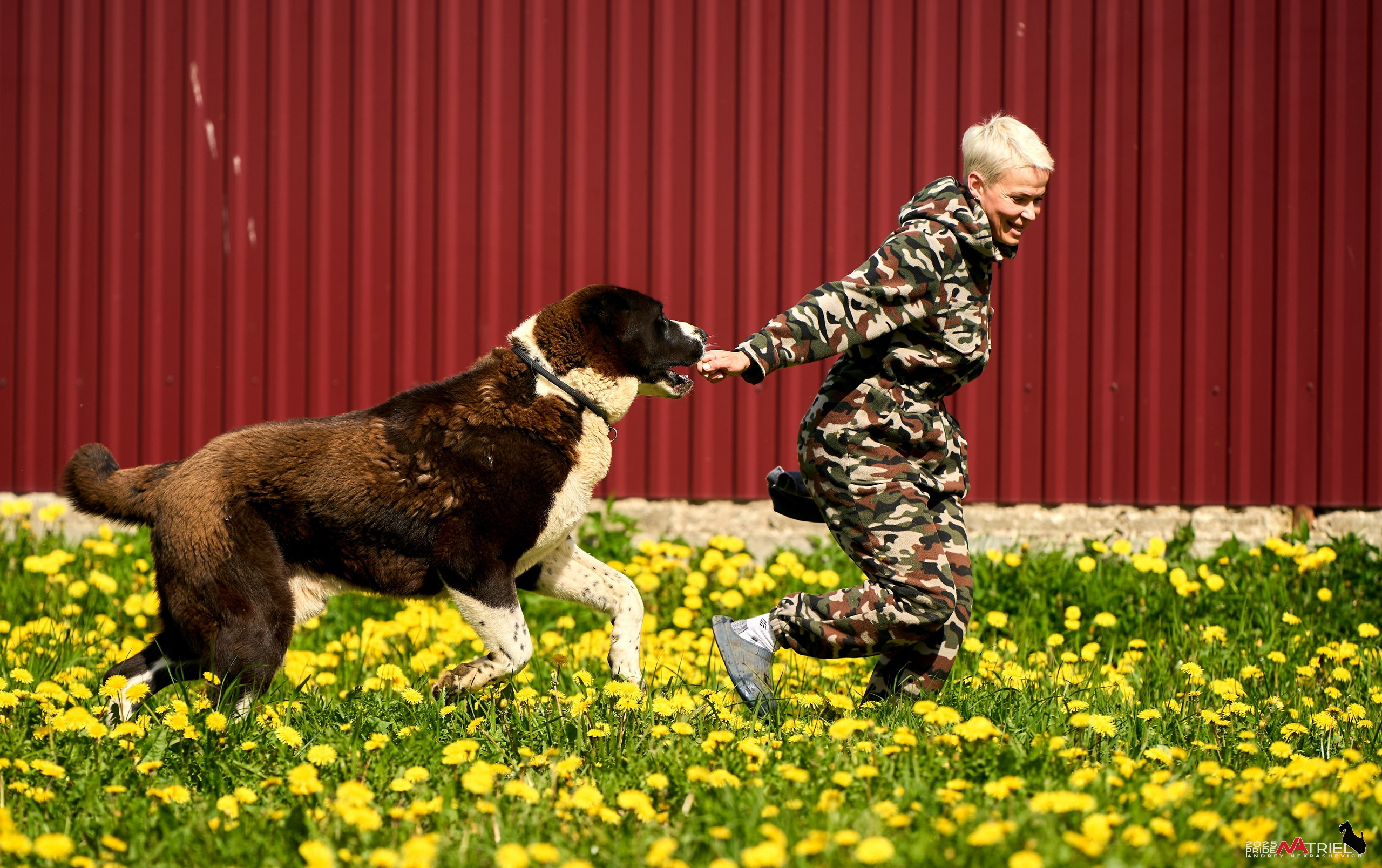 Съемка в питомнике