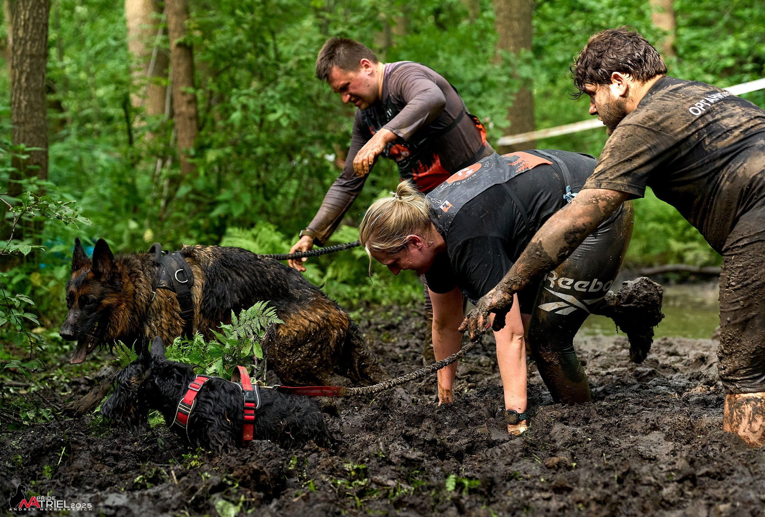 Russian Extreme Dog Trail — 2025