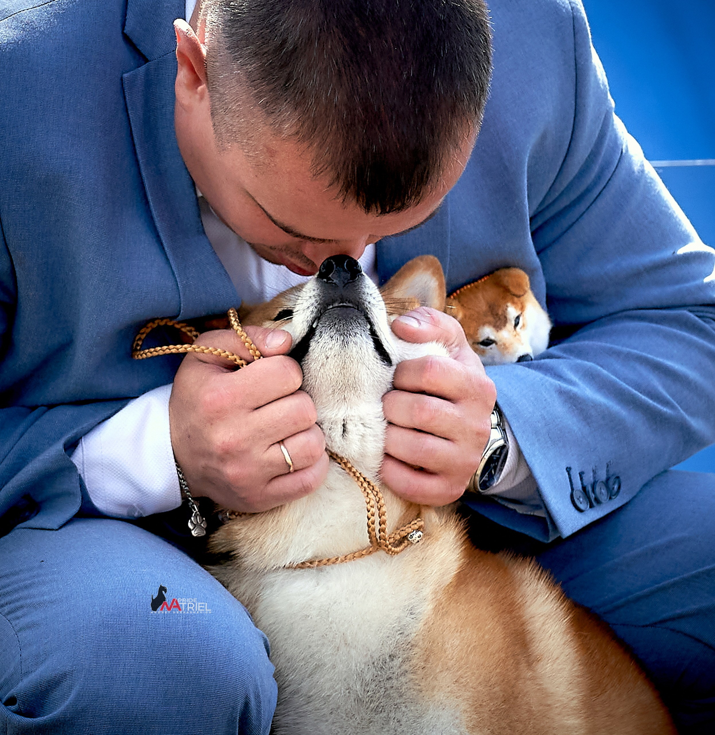 Собаки и Люди — галерея NATRIEL