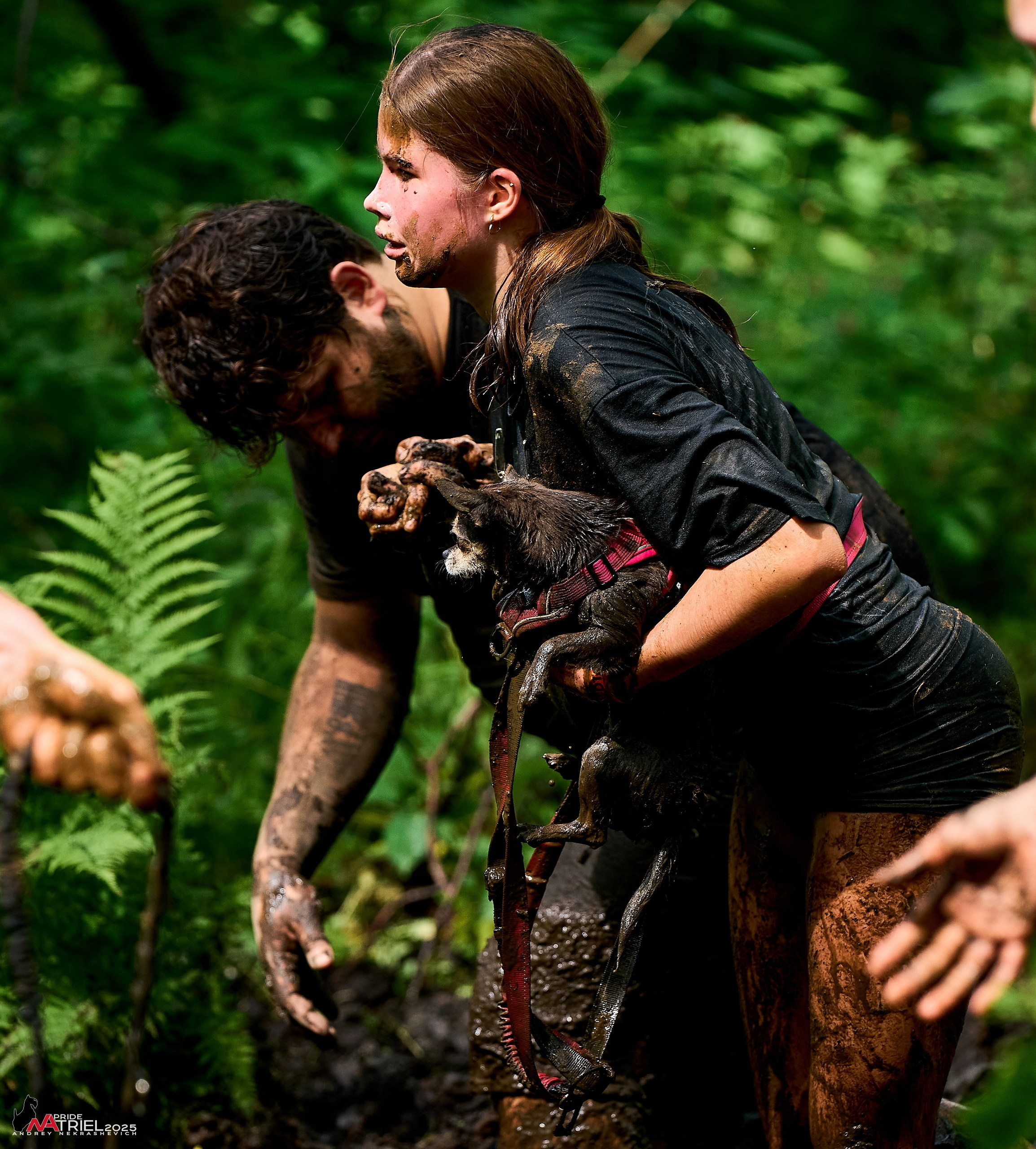 Russian Extreme Dog Trail — 2025