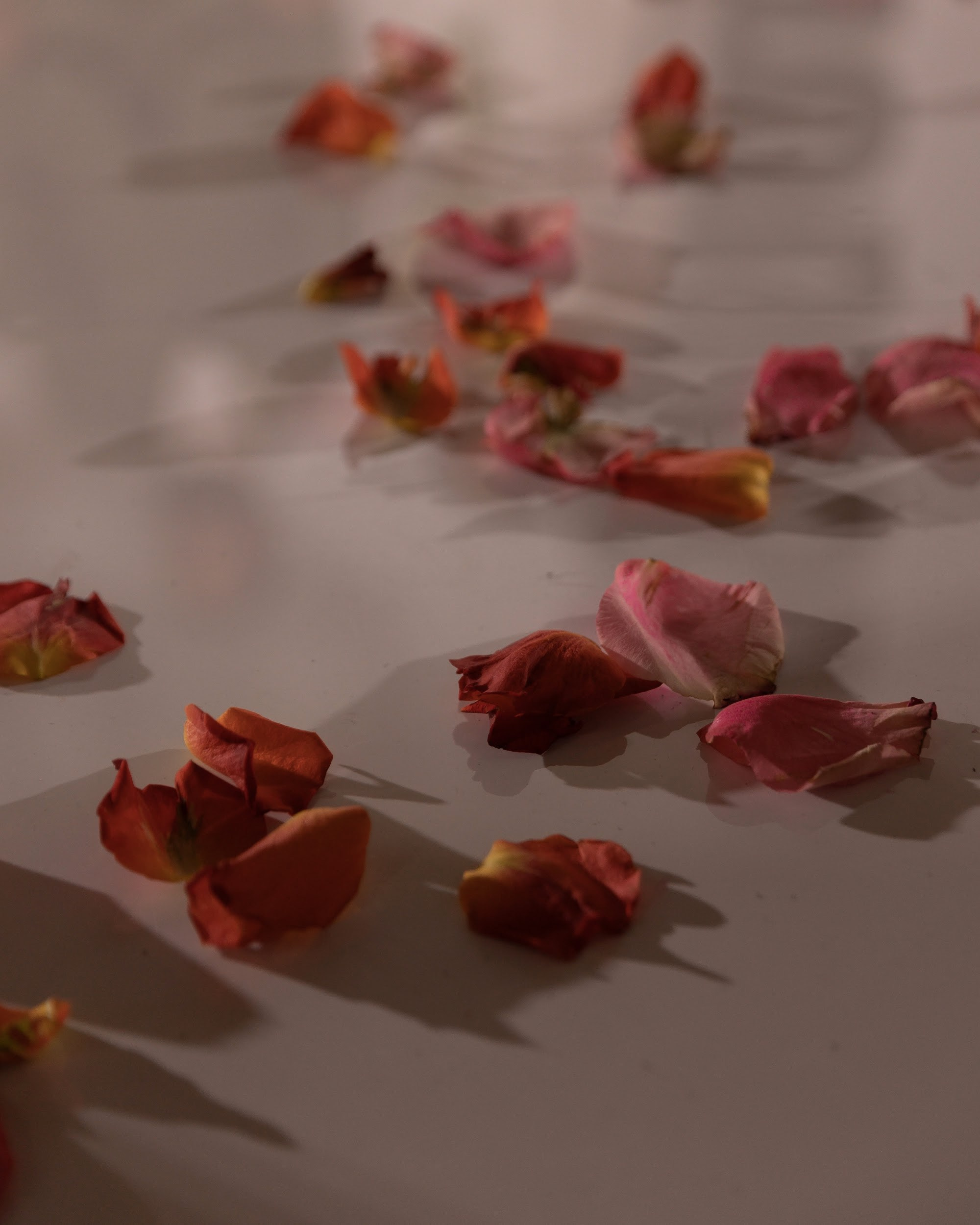 26.07 Михаил и Юлия. Свадебный организатор Екатеринбург