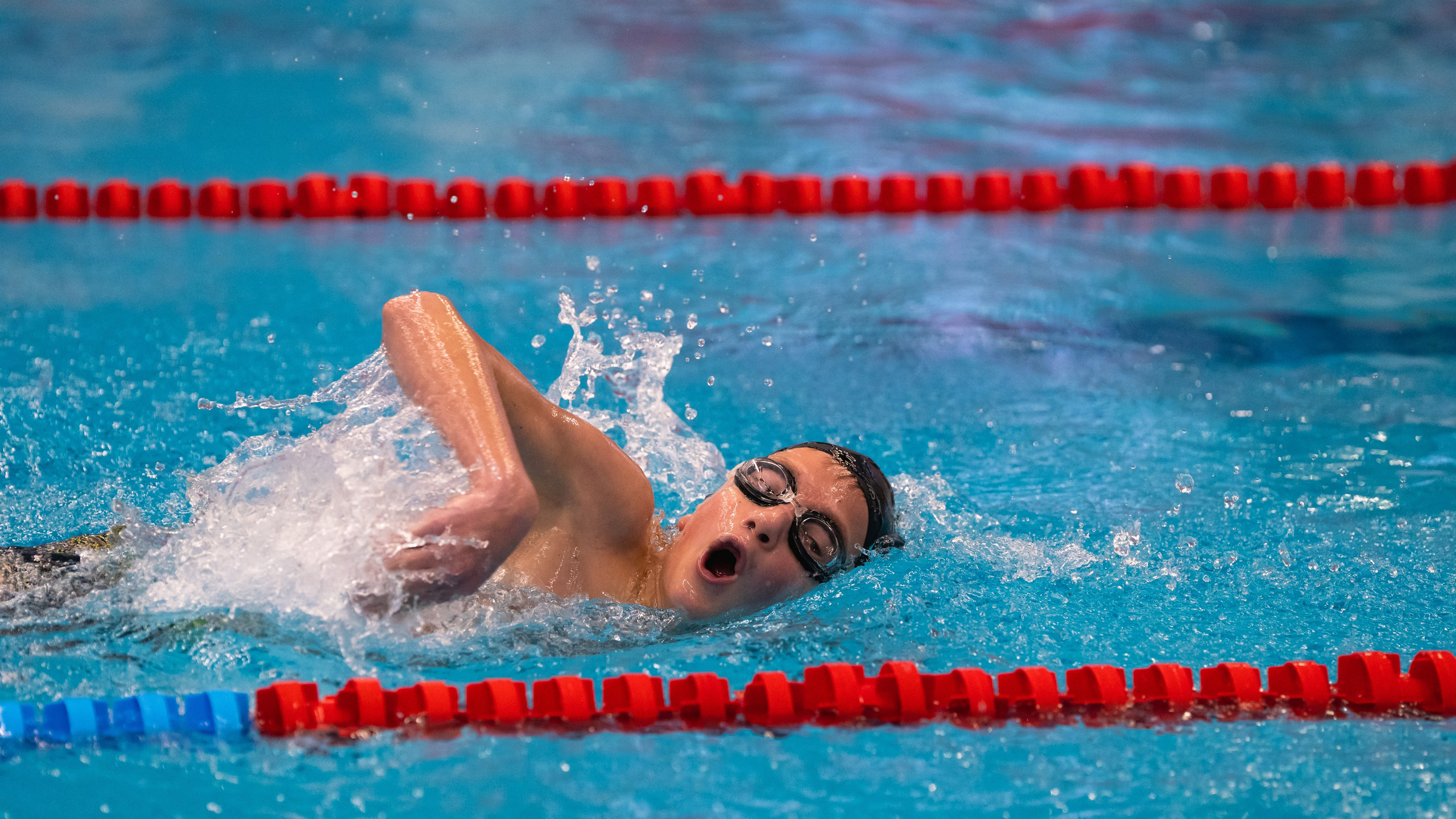 Открытый новогодний турнир по плаванию «Сила воды», 2025. Фотограф и видеооператор Екатерина Гнатюк