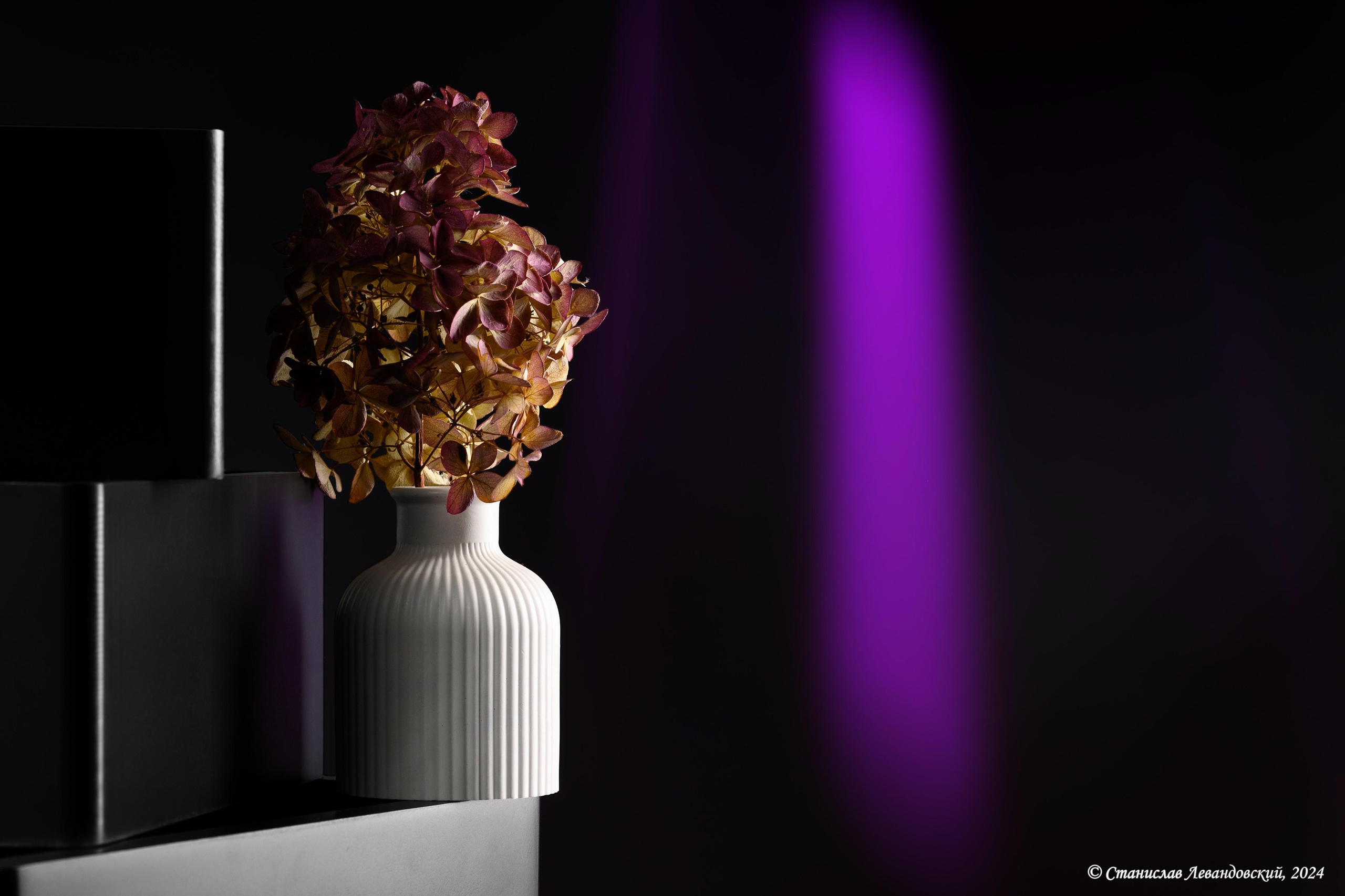 Предметы с матовой поверхностью. Предметный фотограф в Москве Станислав Левандовский