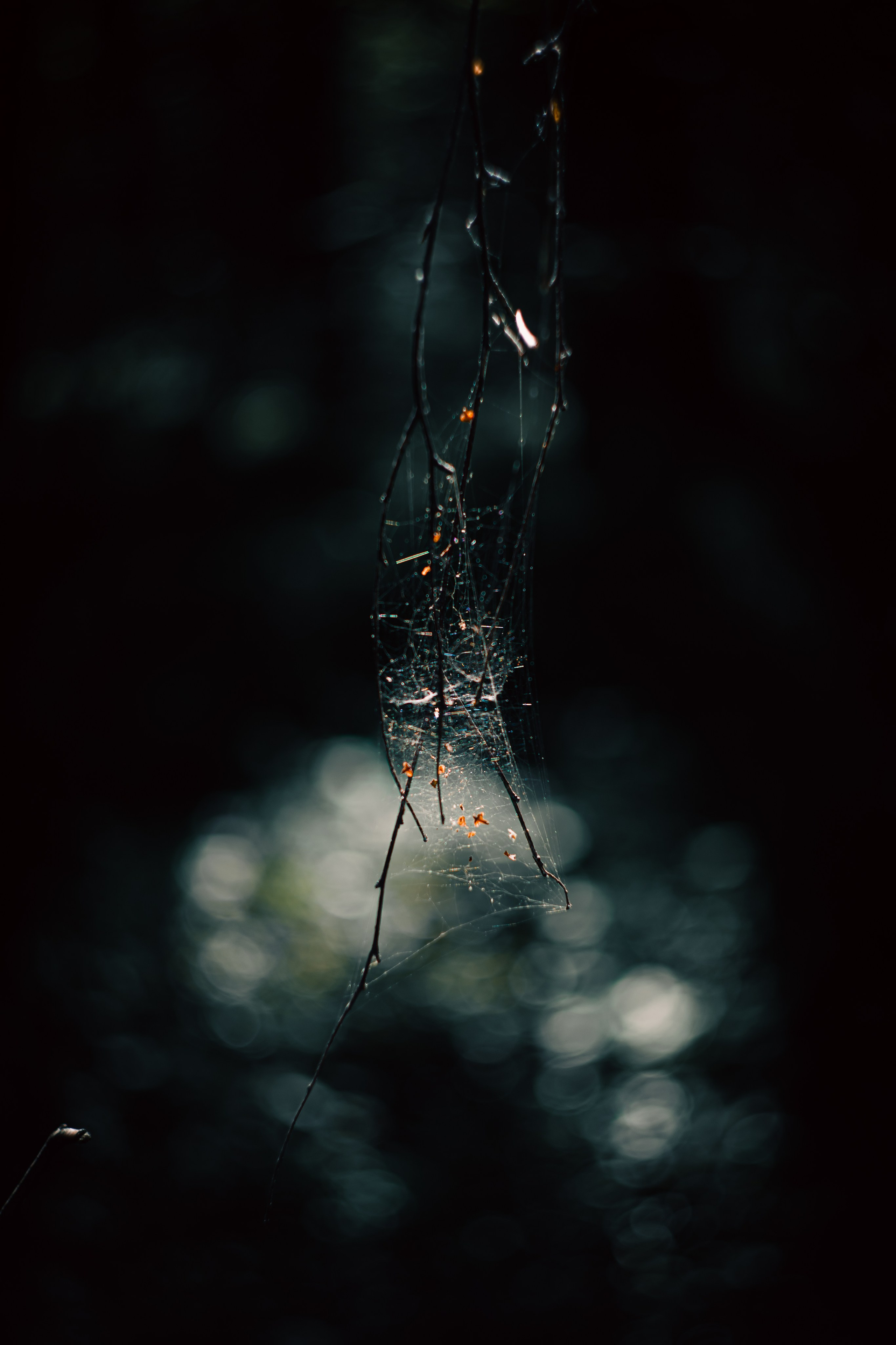 Сентябрь 2024. Efremovaphoto.ru