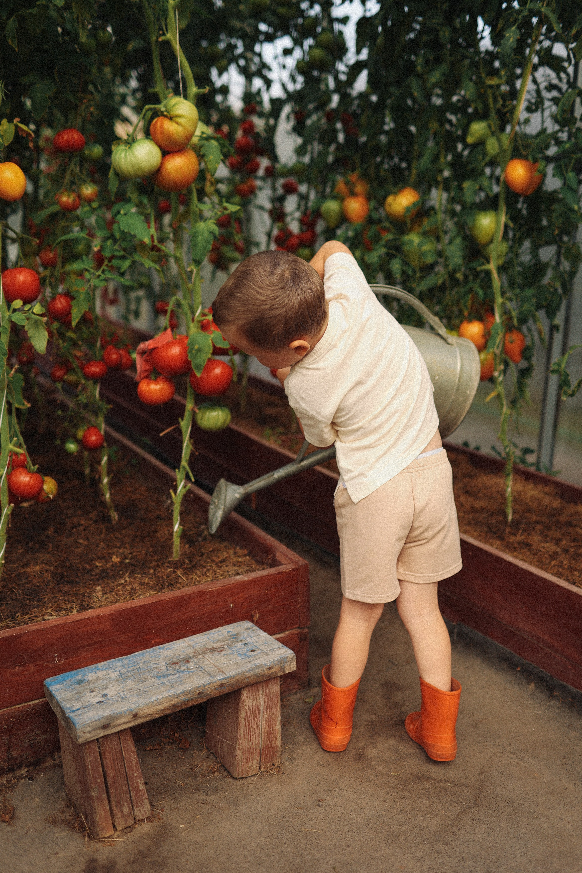 Помидорки Света и Мишенька. Фотограф Владимир Москва