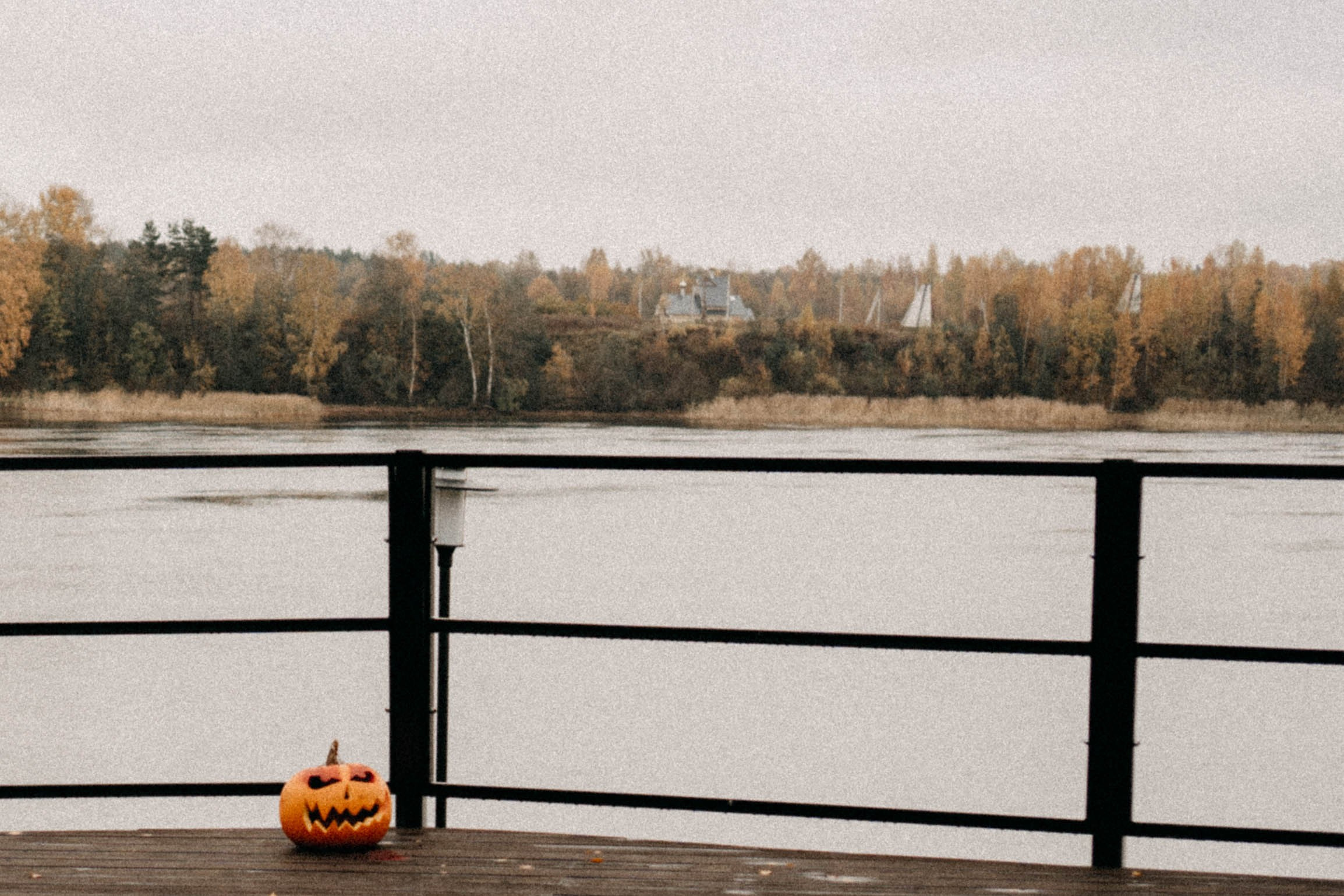 Осеняя. Профессиональный фотограф, Санкт-Петербург — Виктория Богомолова