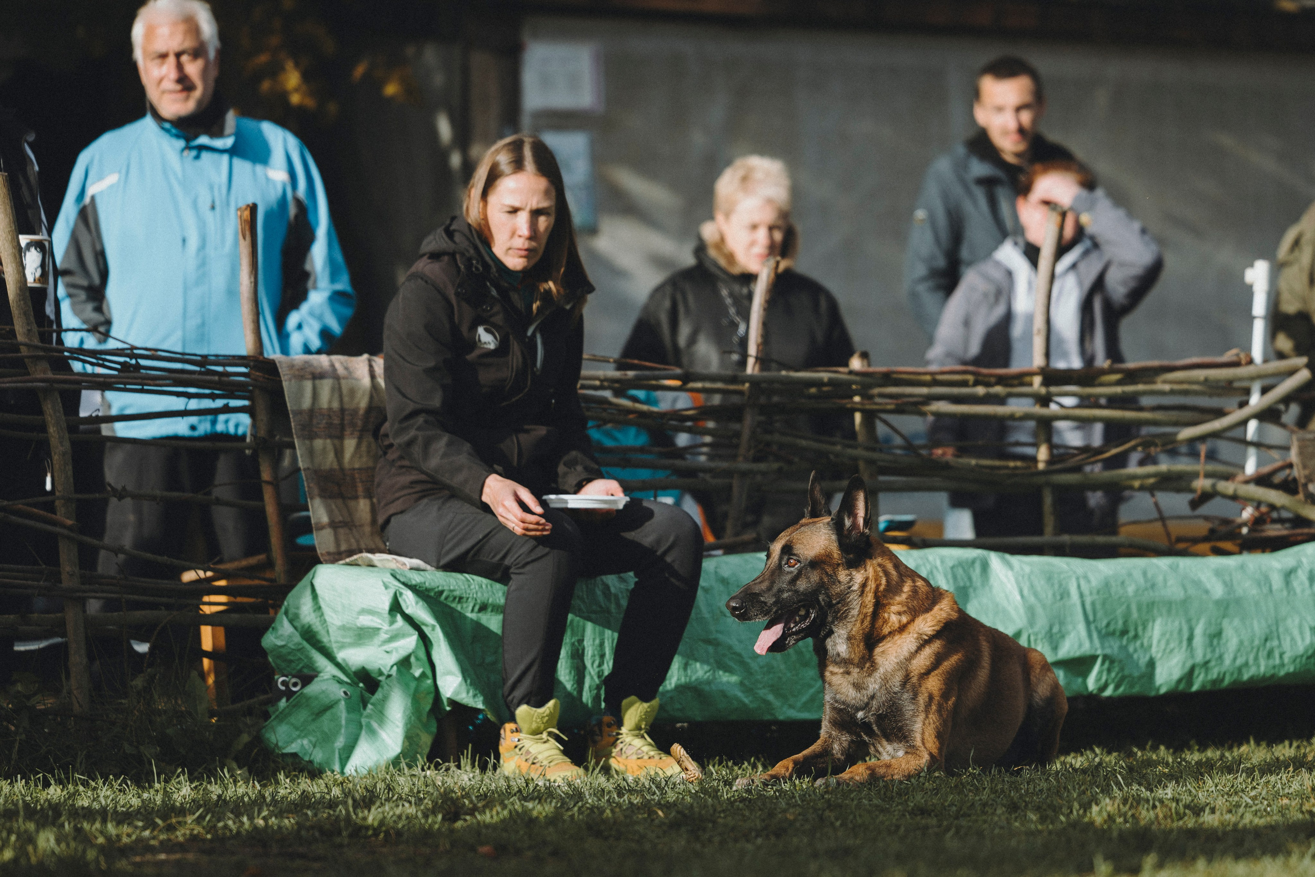 Испытания по мондьорингу г. Пушкин 29.09.2024. Фотограф-анималист Анна Маринич