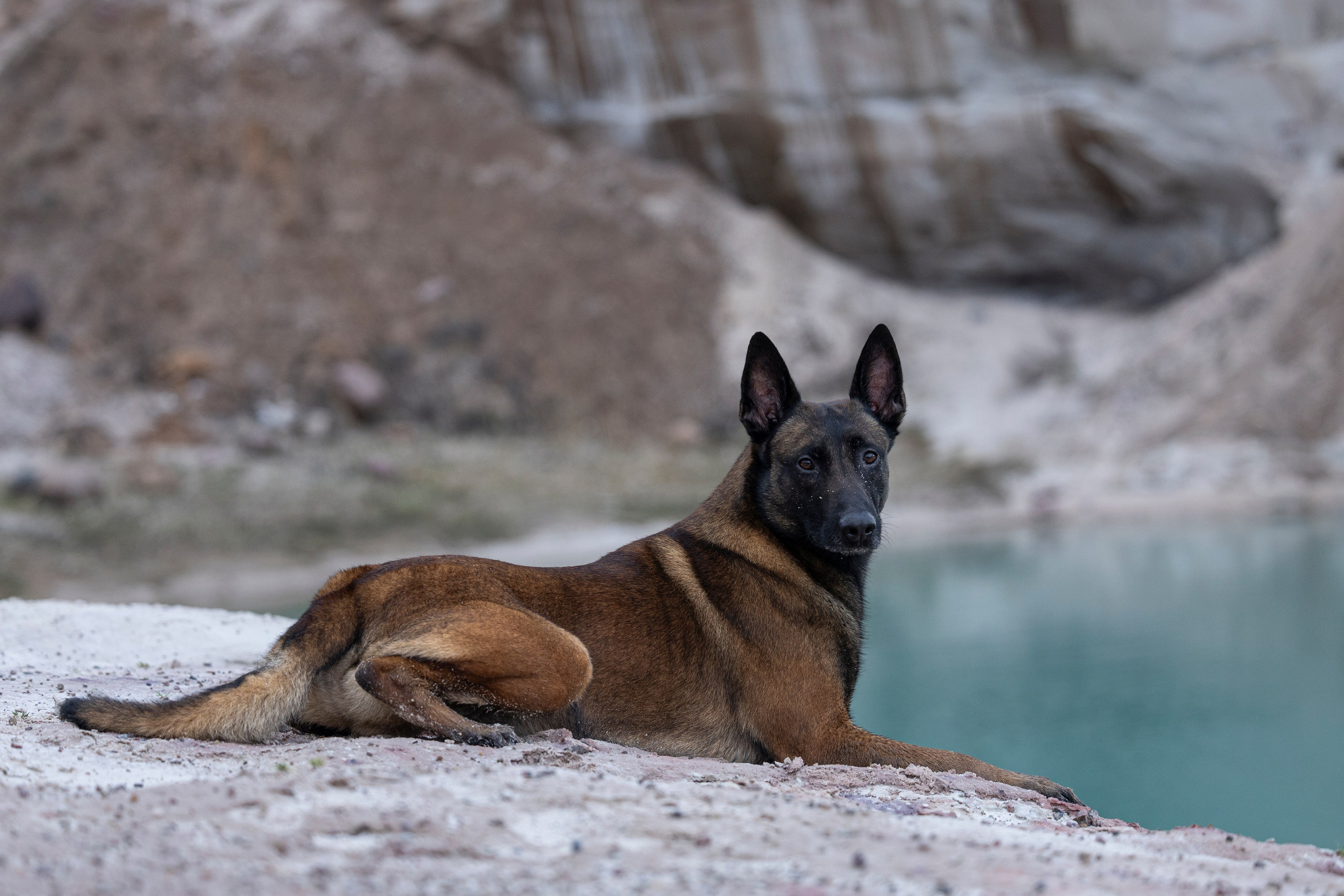 Лужские Мальдивы. Фотограф-анималист Анна Маринич