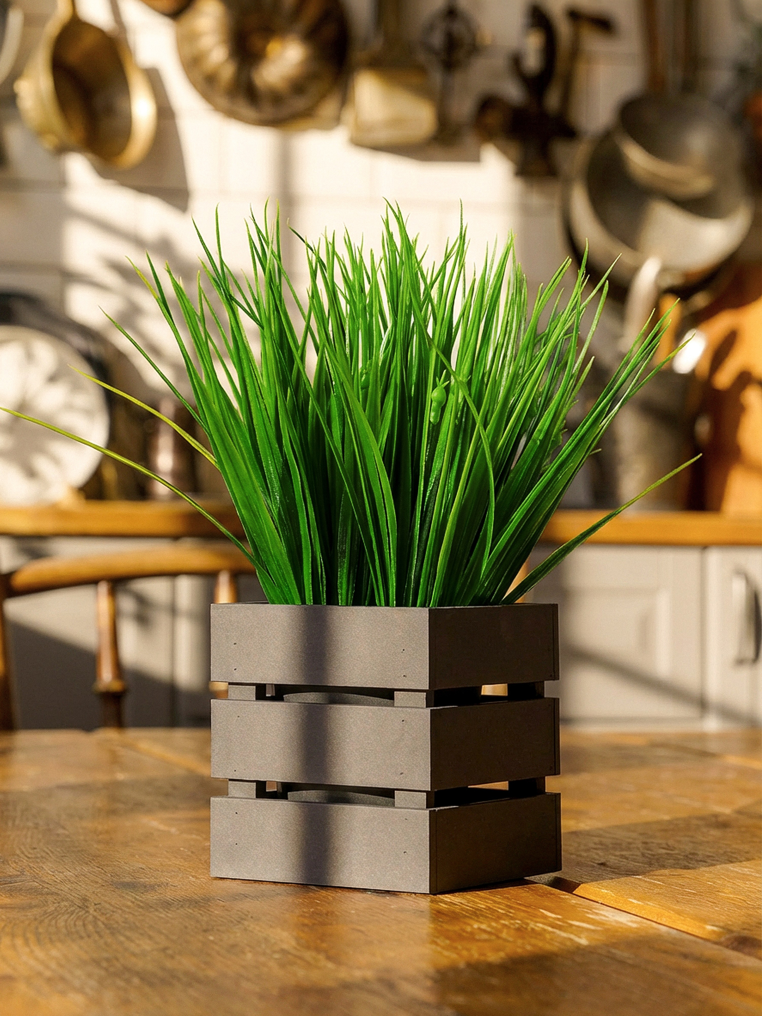 Кашпо. Макаров Сергей|Creamlebot Фотограф города Ростов-на-Дону