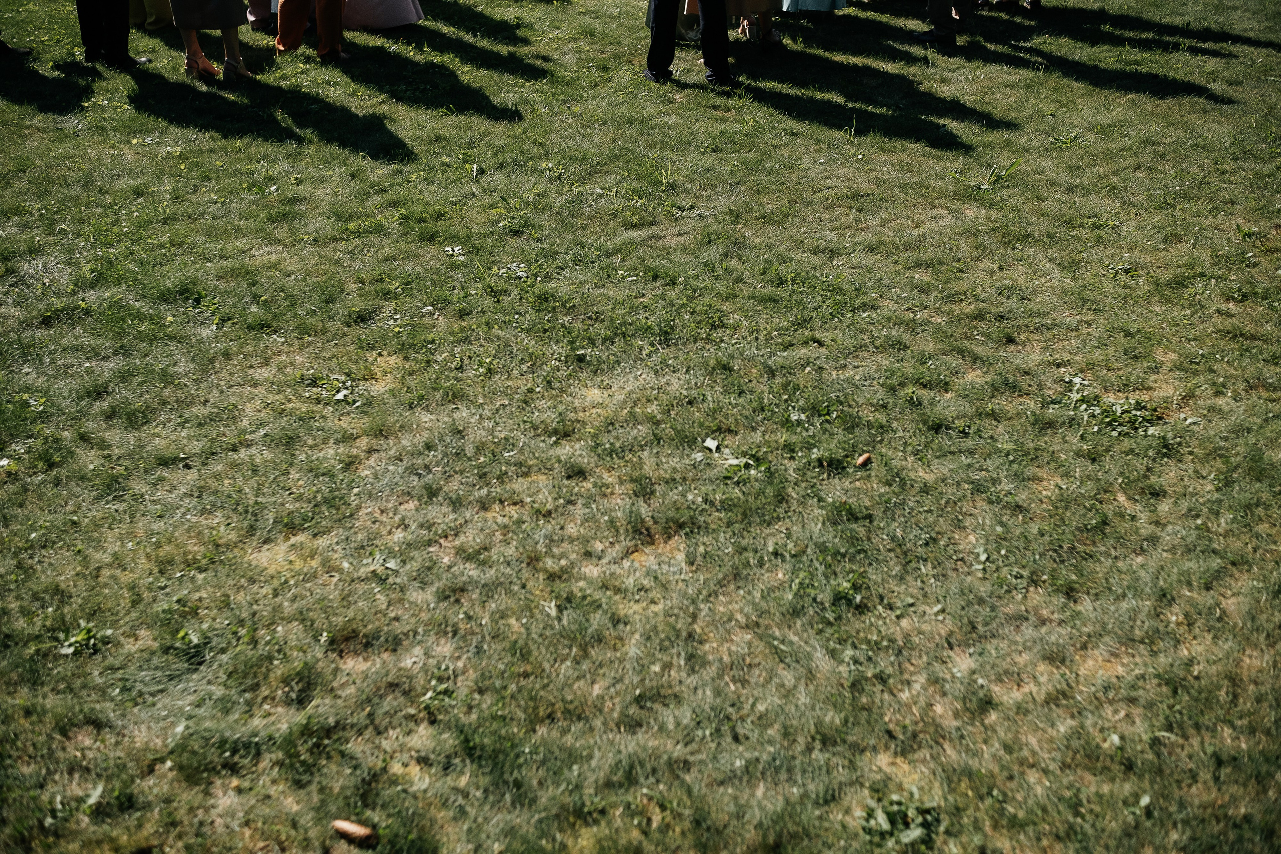 Все по року. Свадебный и семейный фотограф Барнаул Рубцовск Бийск Алтайский край