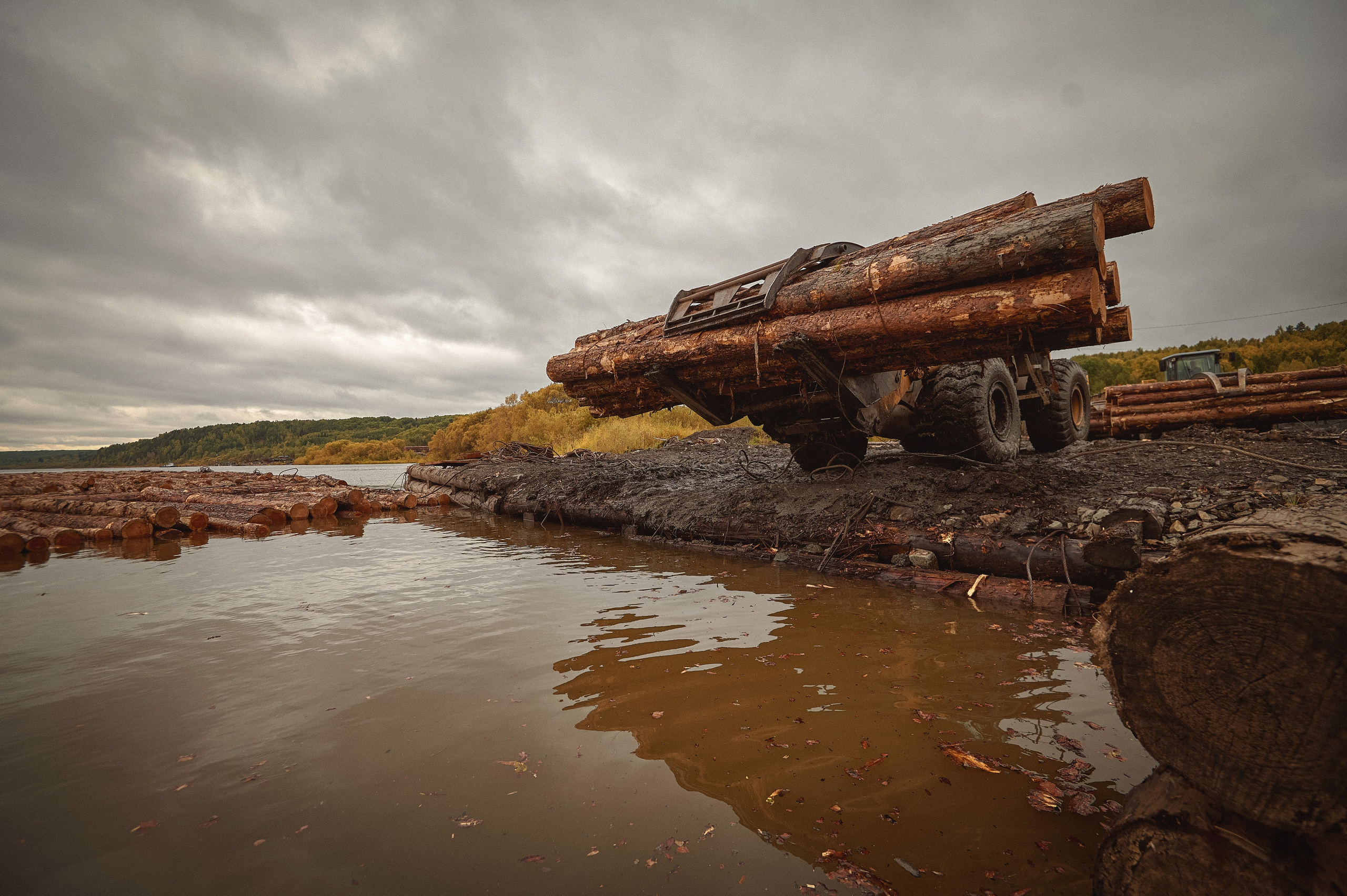 Лесозаготовка г. Мотыгино. Фотограф Яковлев Роман — Красноярск