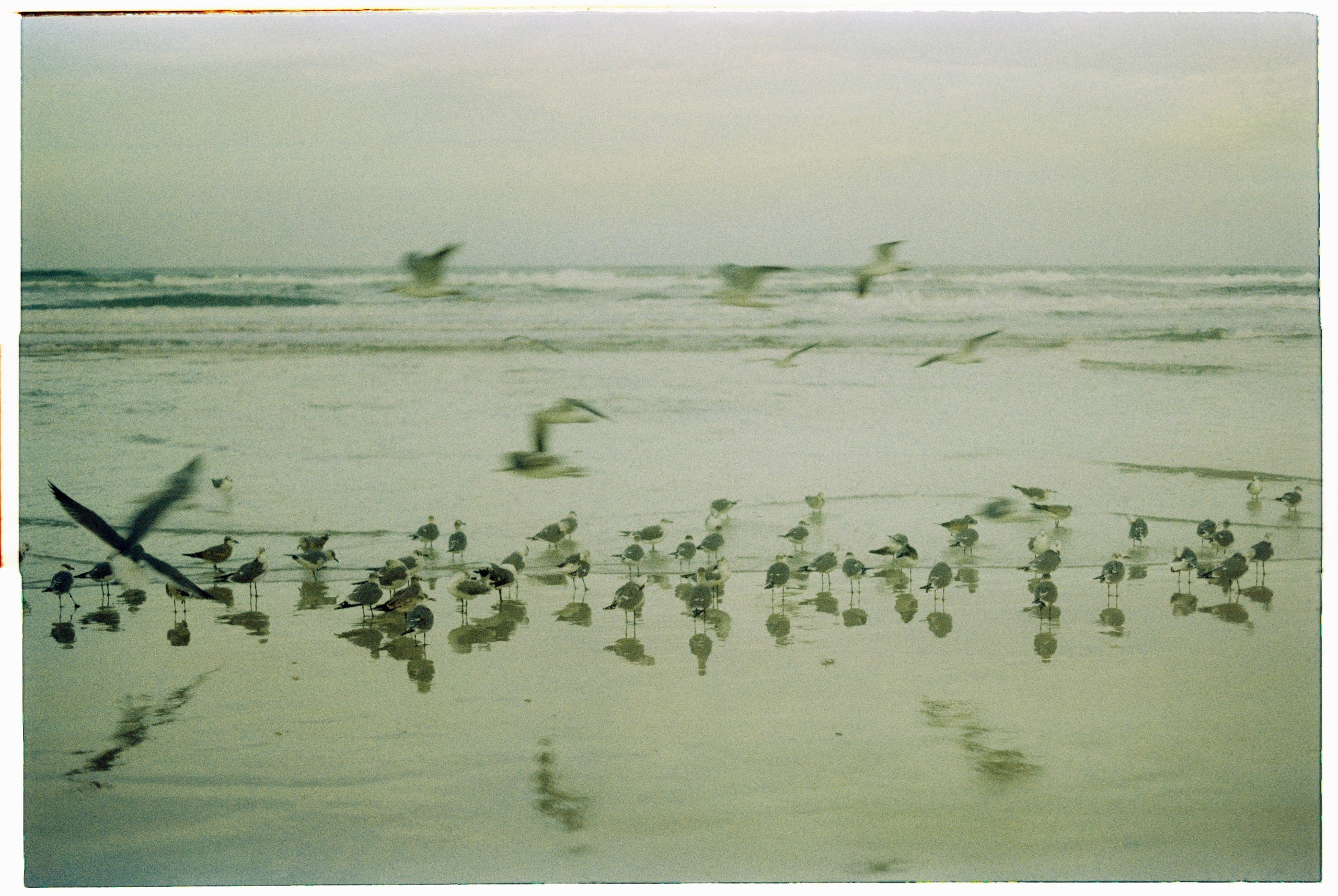 Florida. Егор Фотобрат — Портретный фотограф теперь в Ташкенте